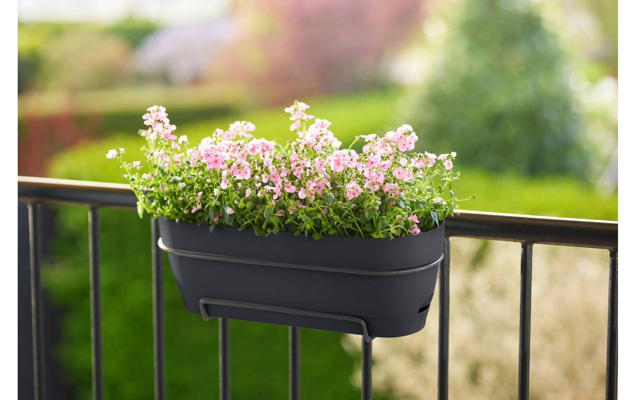 Elho Blumentopf »Vibia Campana Balkonkasten Allin1 70 cm«