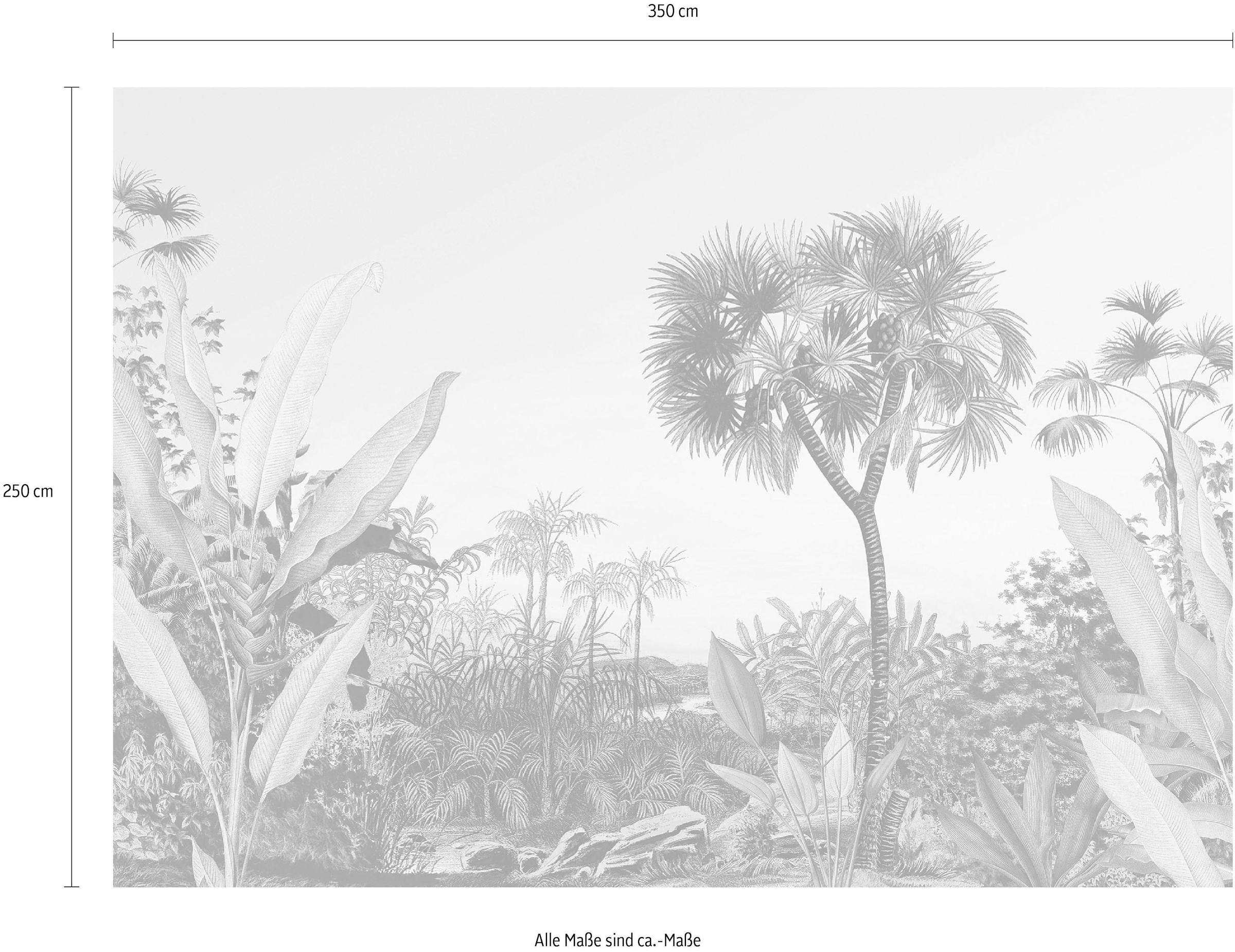 Komar Vliestapete »Digitaldruck Vlies -  Oasis - Grösse 350 x 250 cm« bedruckt glatt Wohnzimmer, Schlafzimmer