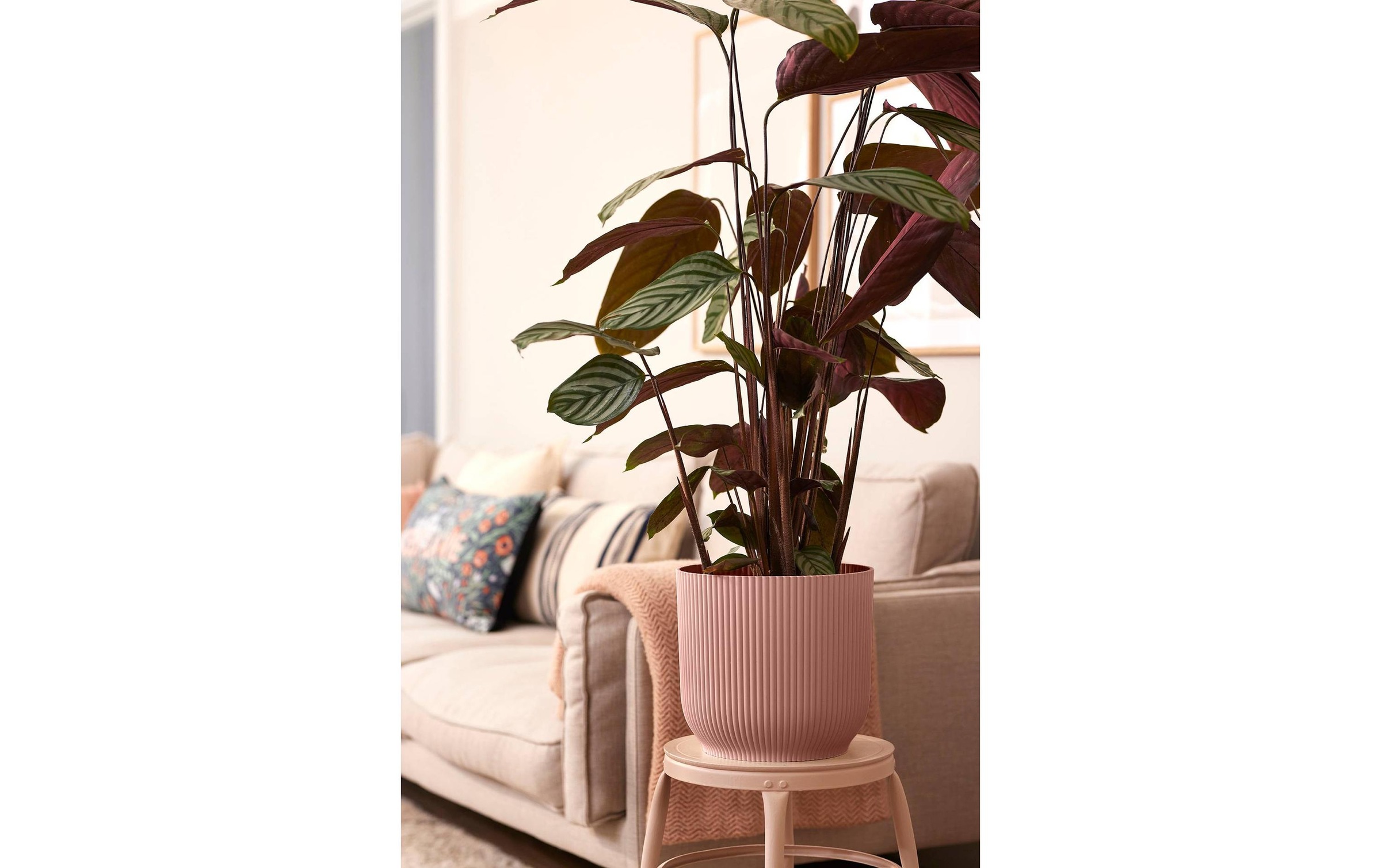 Elho Pot de fleurs »Vibes Fold Rund 30 cm«