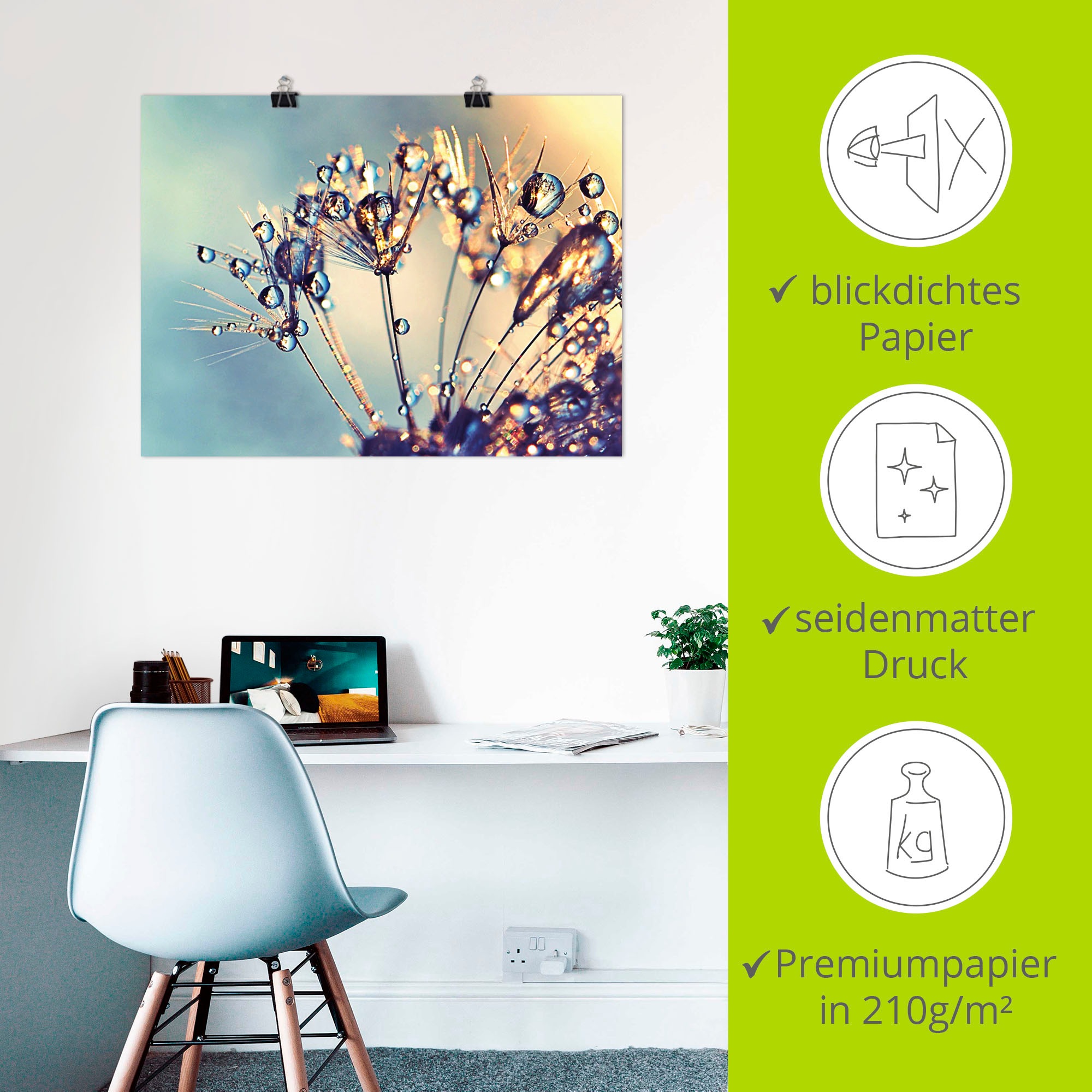 Artland Fresque murale »Pusteblume Glitzertau« 1 cuis tlg. als Leinwandbild, Poster in verschied. Grössen