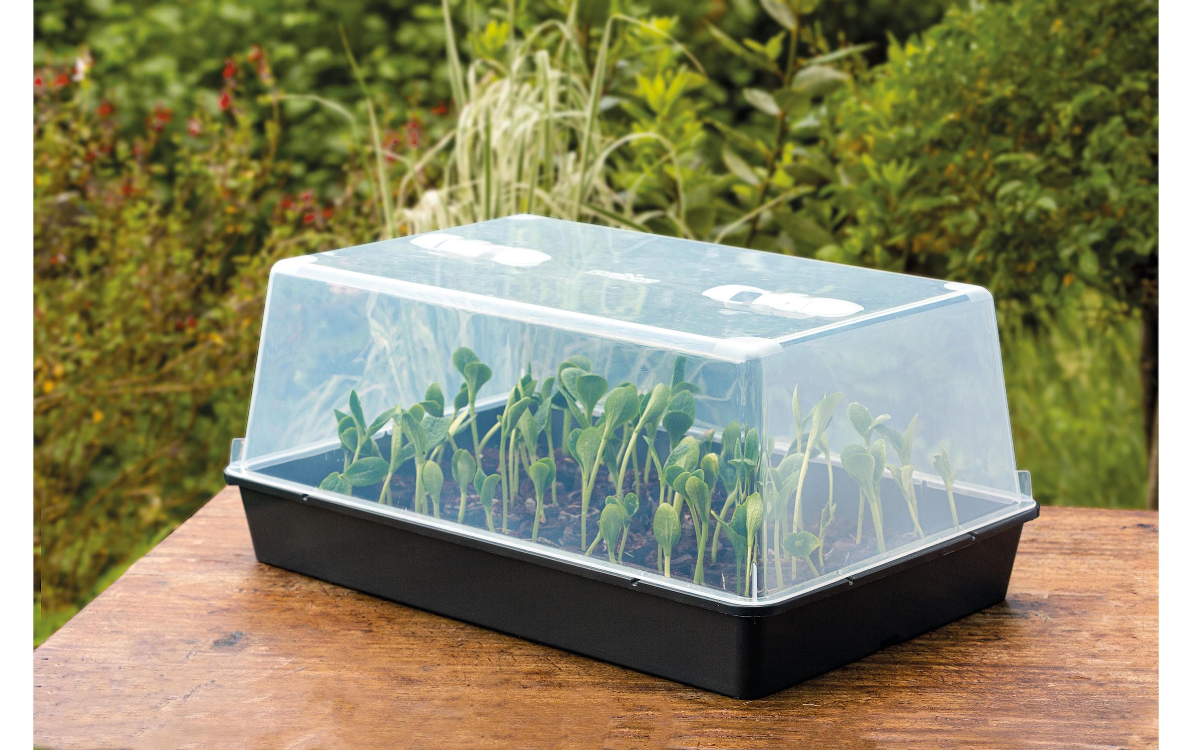   Gewächshaus »Romberg XXL mit Belüftung,stabil,lose Ware«