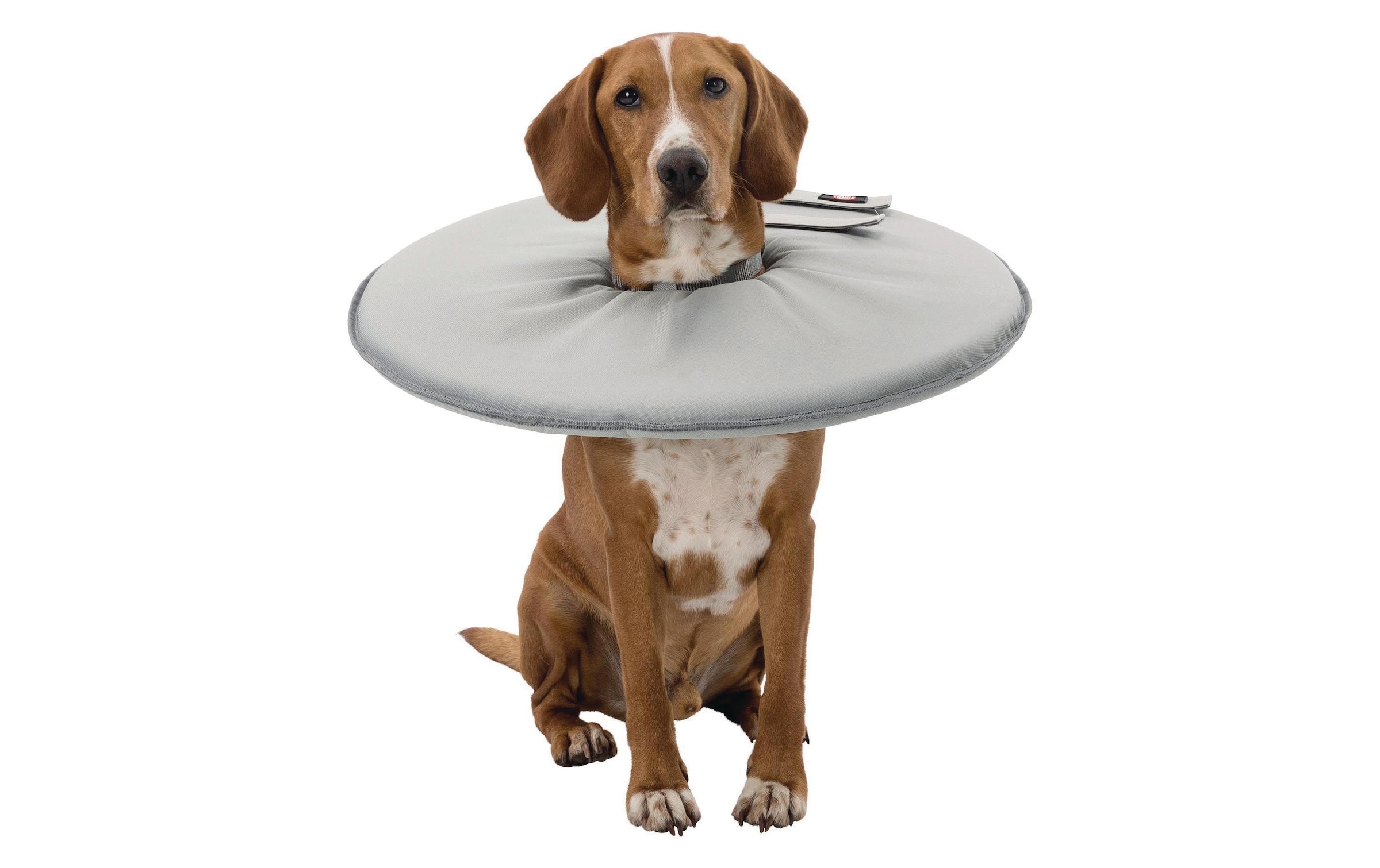 TRIXIE Collier de protection »Schutzkragen weich mit Klettverschluss«