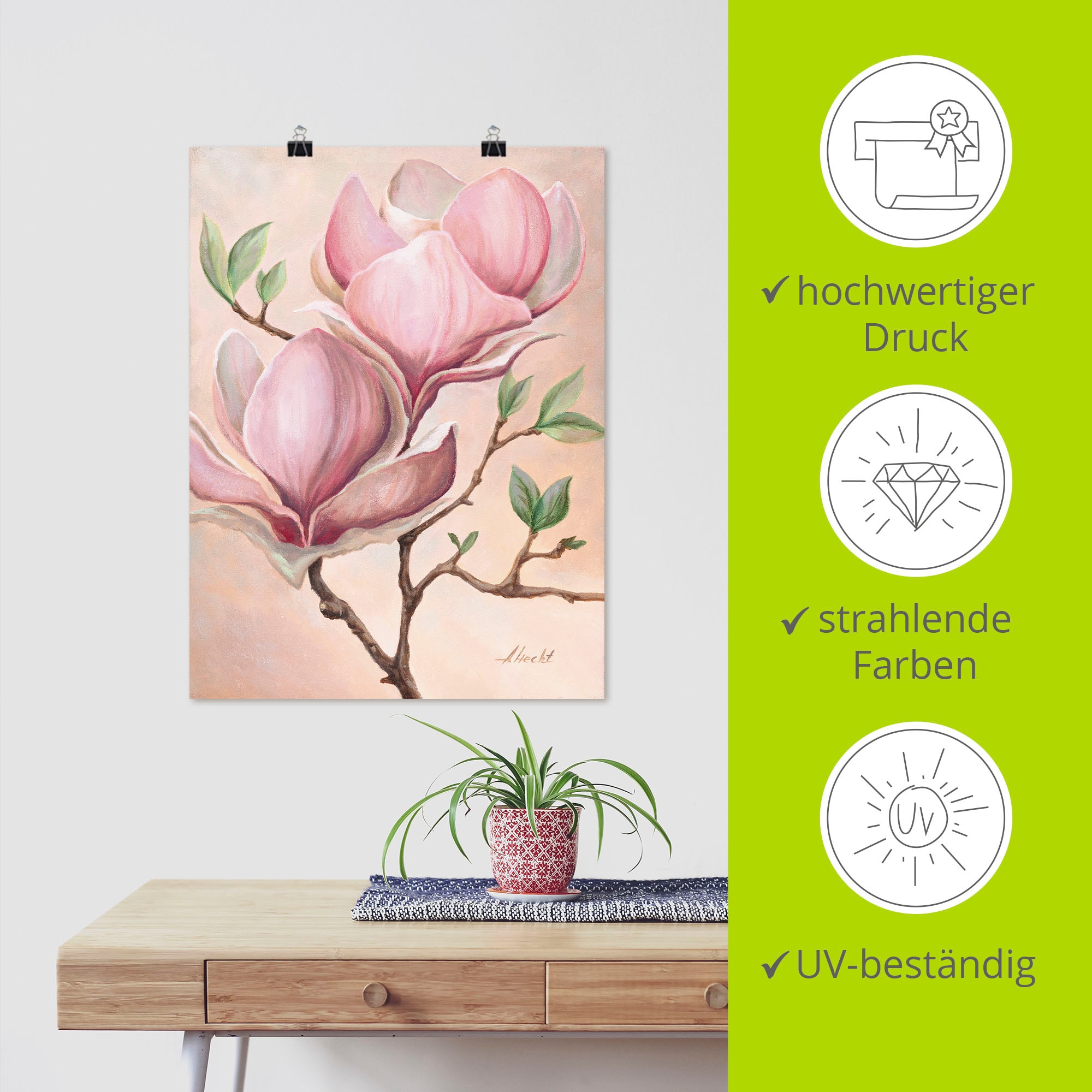 Artland Wandbild »Magnolienblüten« Blumen 1 Stk. tlg. als Leinwandbild, Poster in verschied. Grössen