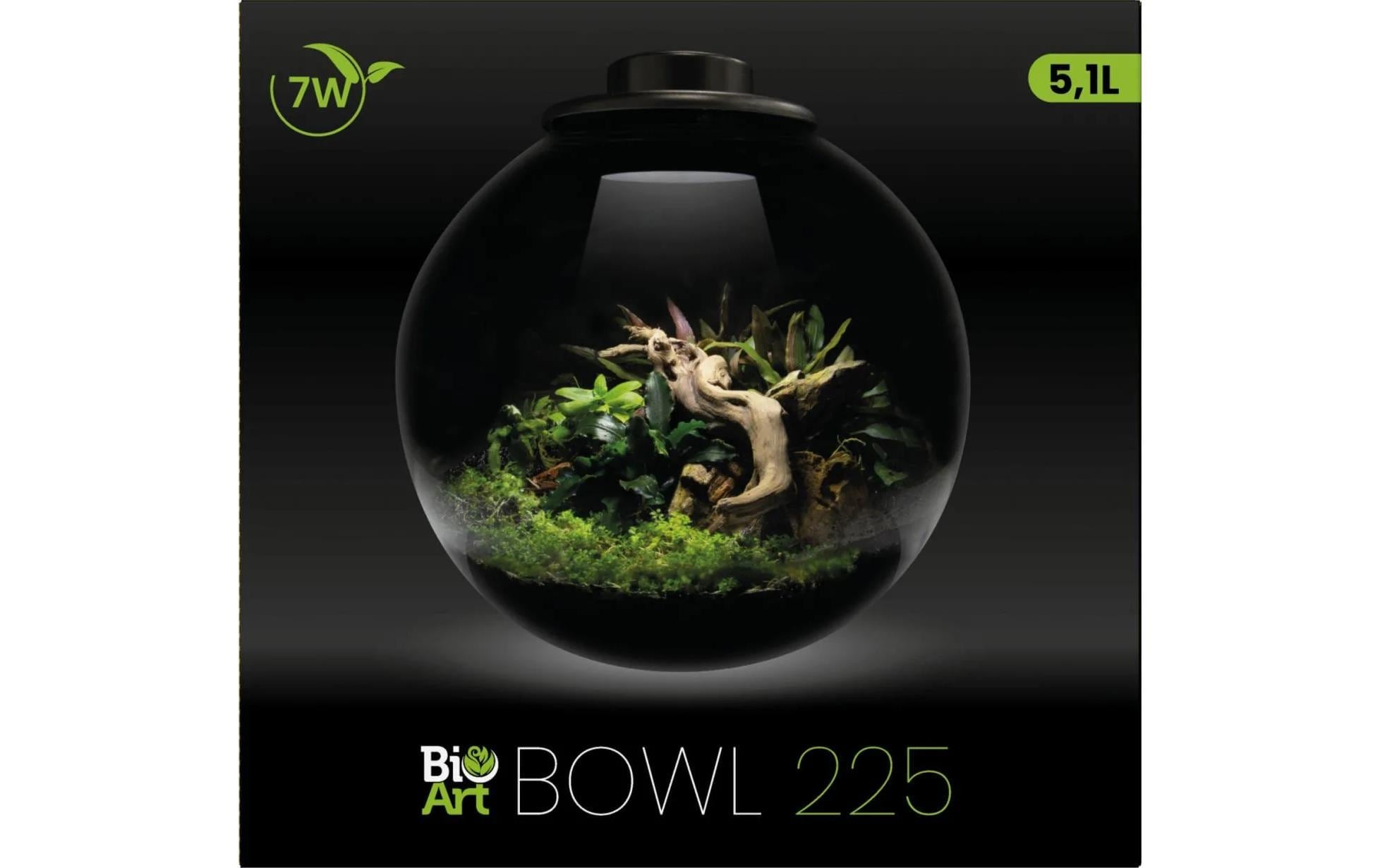   Objet décoratif LED »Bio Art Pflanzengefäss Bowl 225«