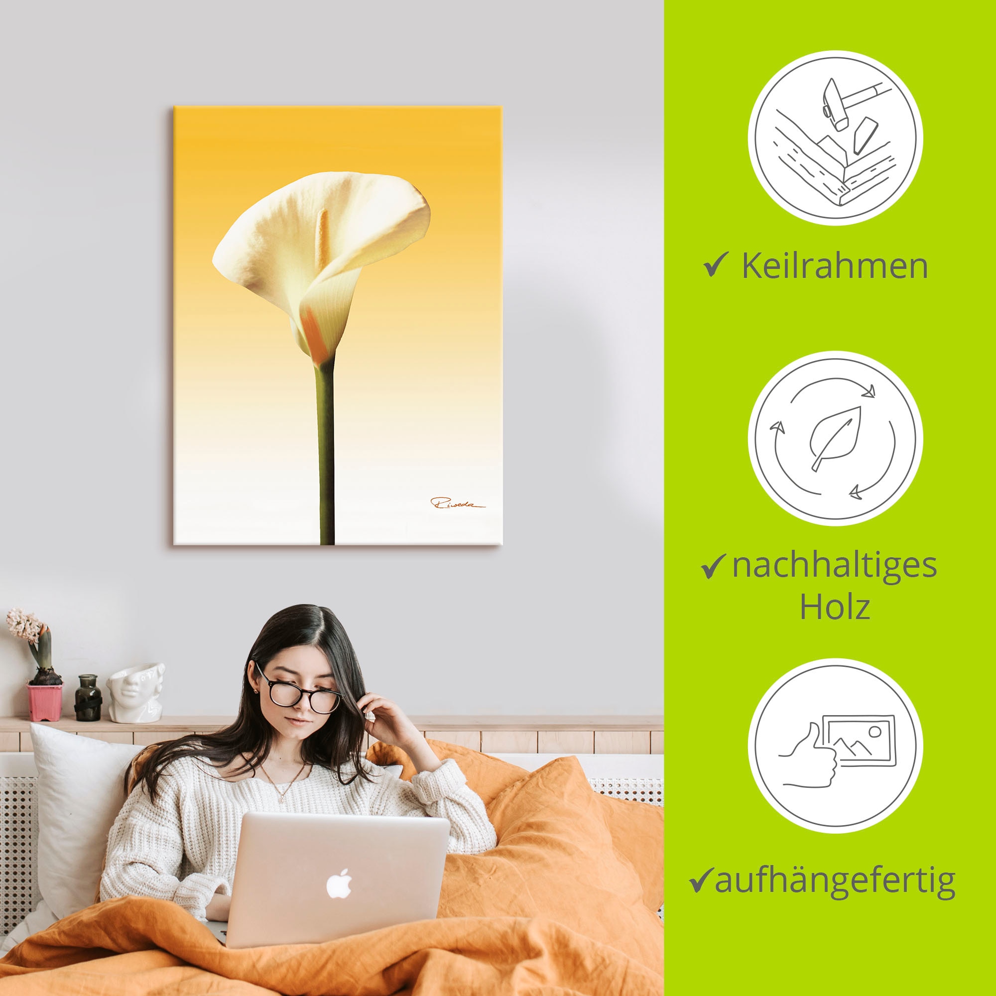 Artland Leinwandbild »Sonnenschein Calla II« Blumenbilder 1 Stk. tlg. auf Holzrahmen gespannt