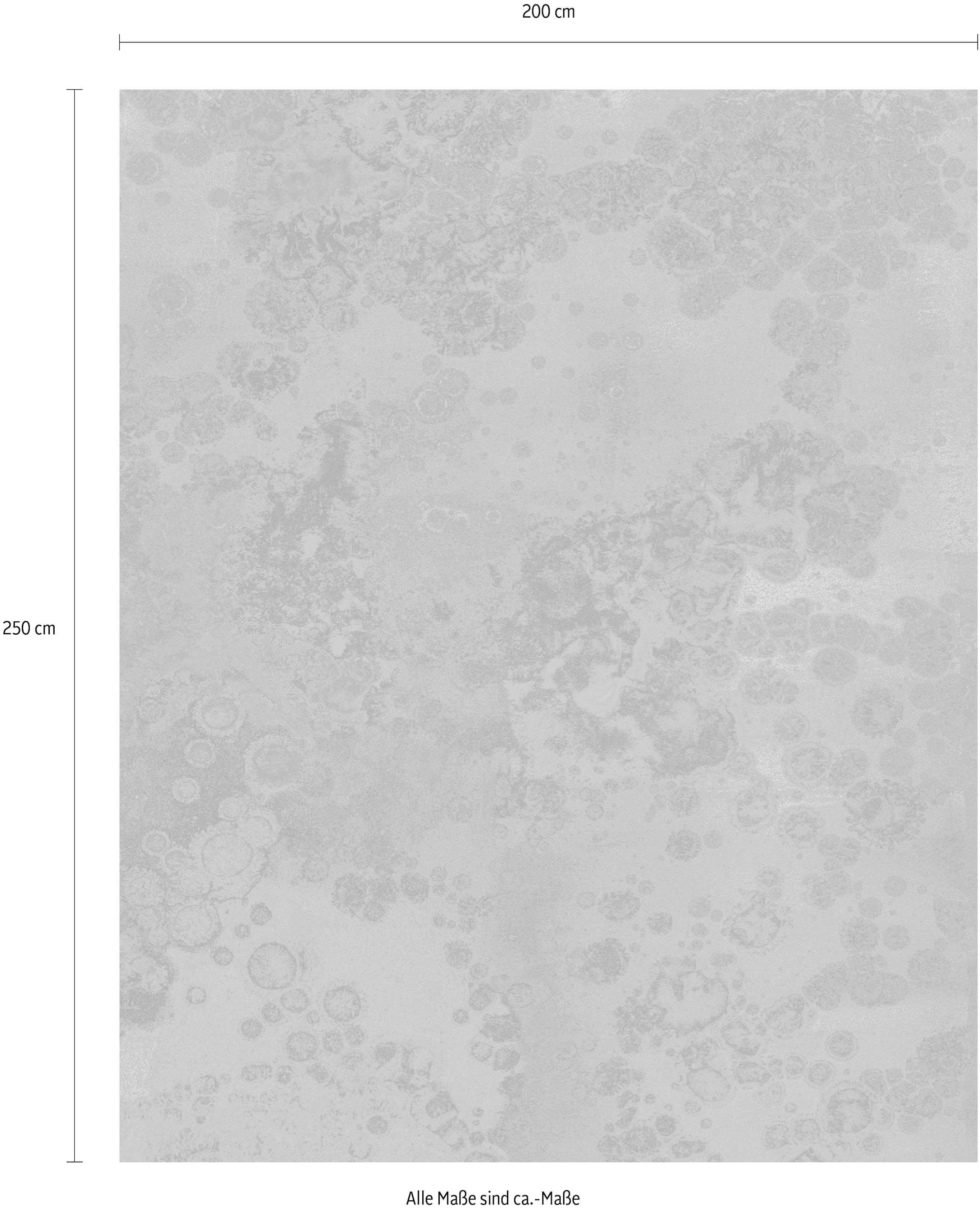 Komar Vliestapete »Digitaldruck Vlies -  Patina - Grösse 200 x 250 cm« bedruckt glatt Wohnzimmer, Schlafzimmer