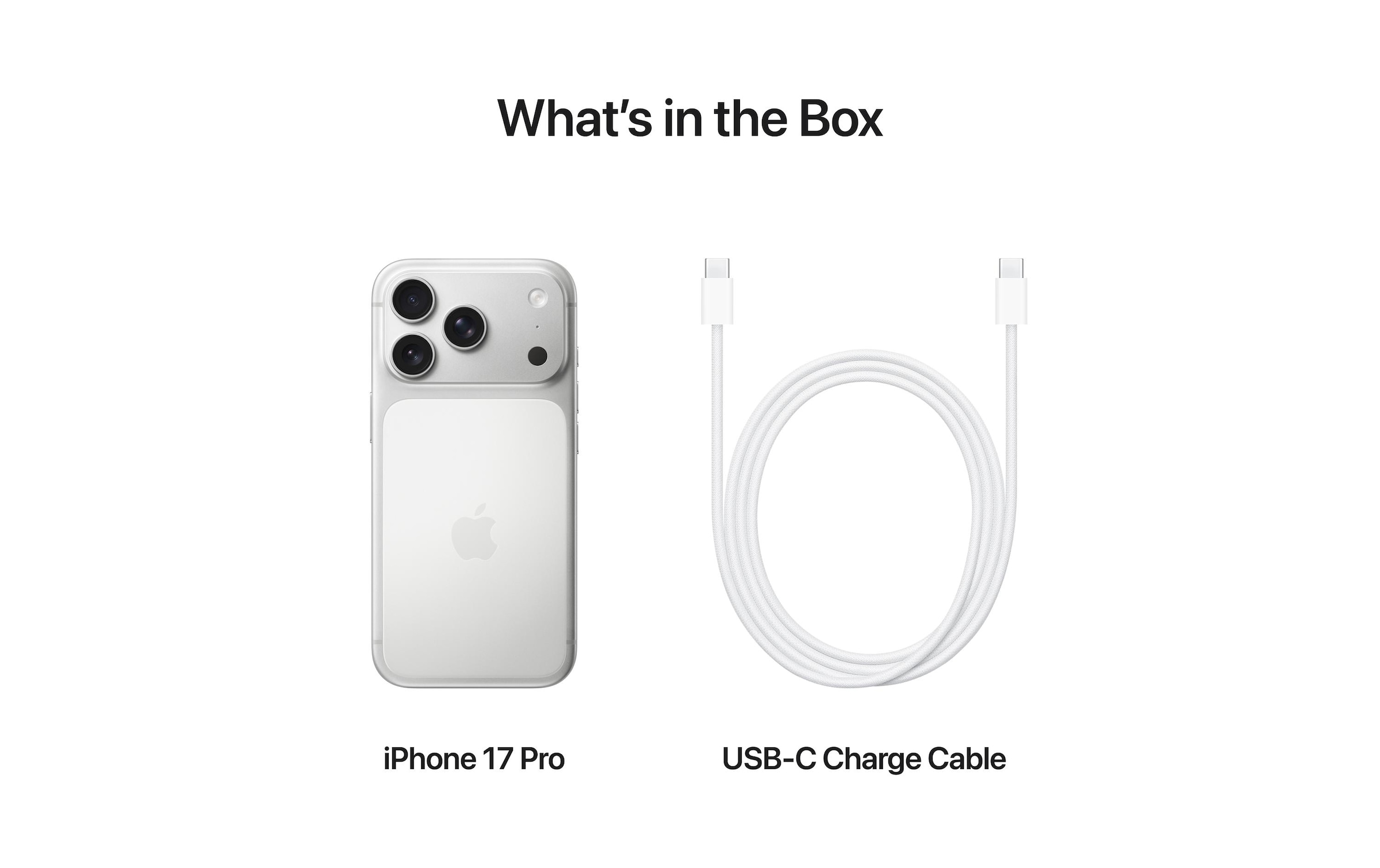 Apple Smartphone »iPhone 17 Pro« Couleur argentée Charge par induction