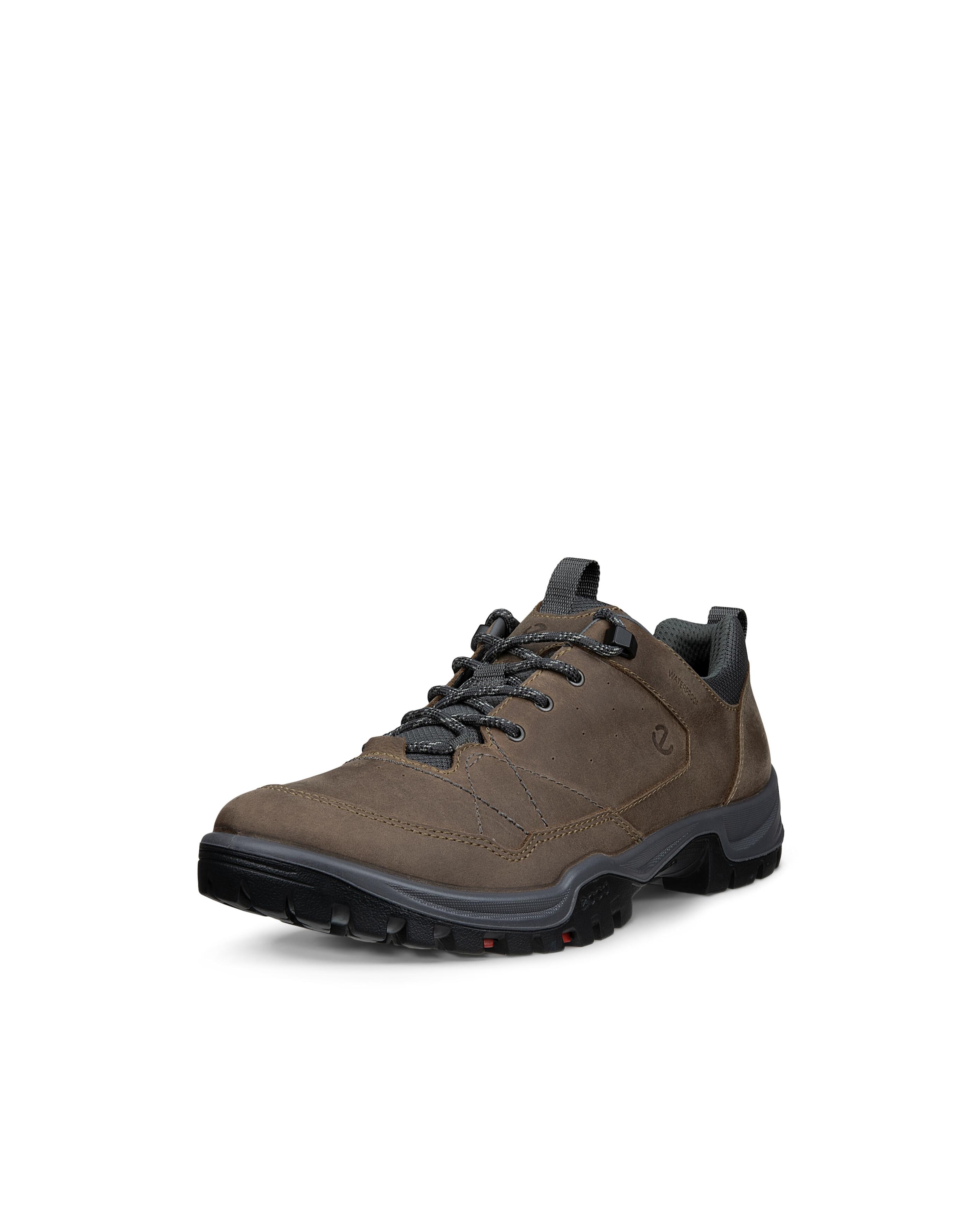 Ecco Outdoorschuh »ECCO RECEPTOR TREKK«  Wanderschuh, Halbschuh, Schnürschuh mit waterproof