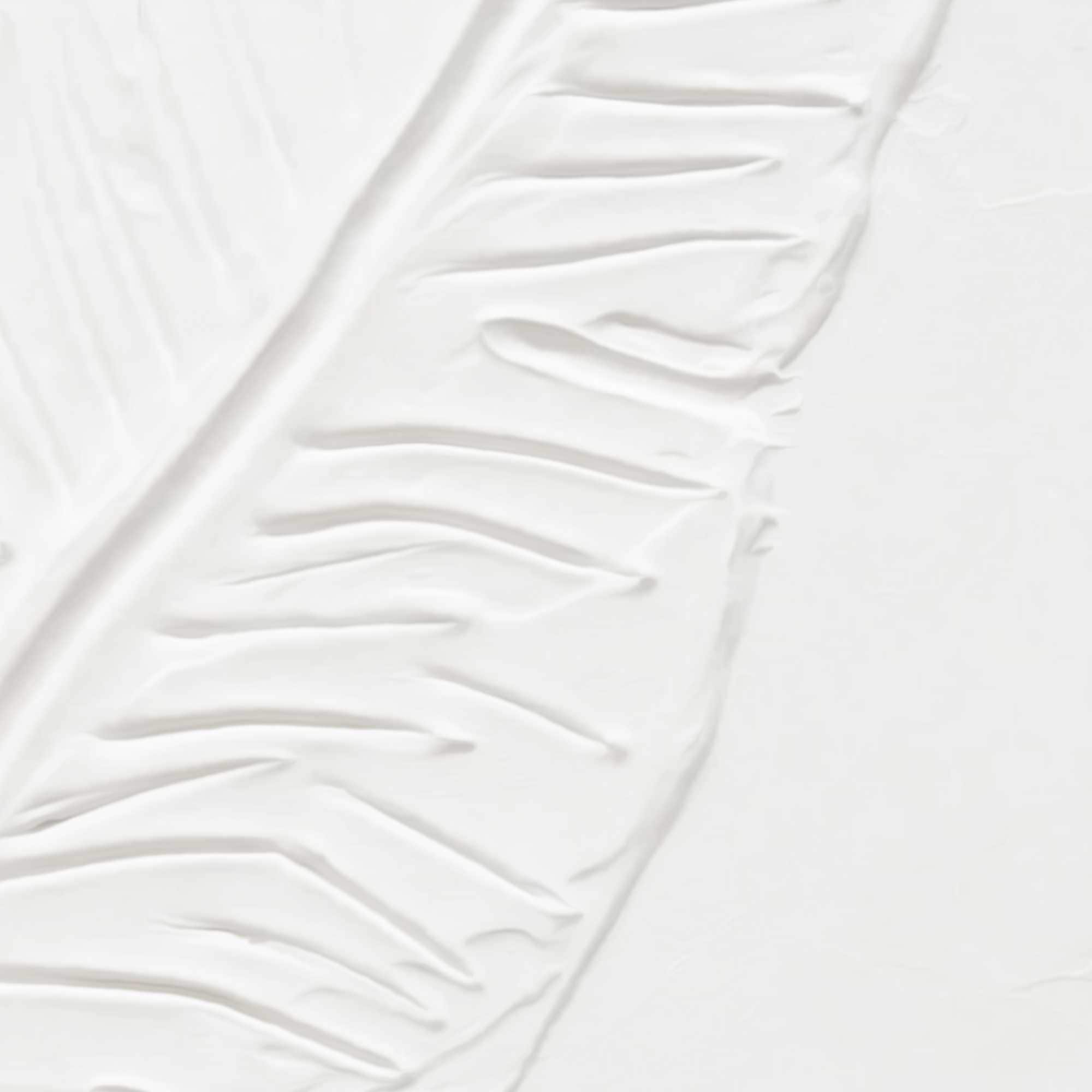 Reinders! Wandbild »Tropische Blätter«