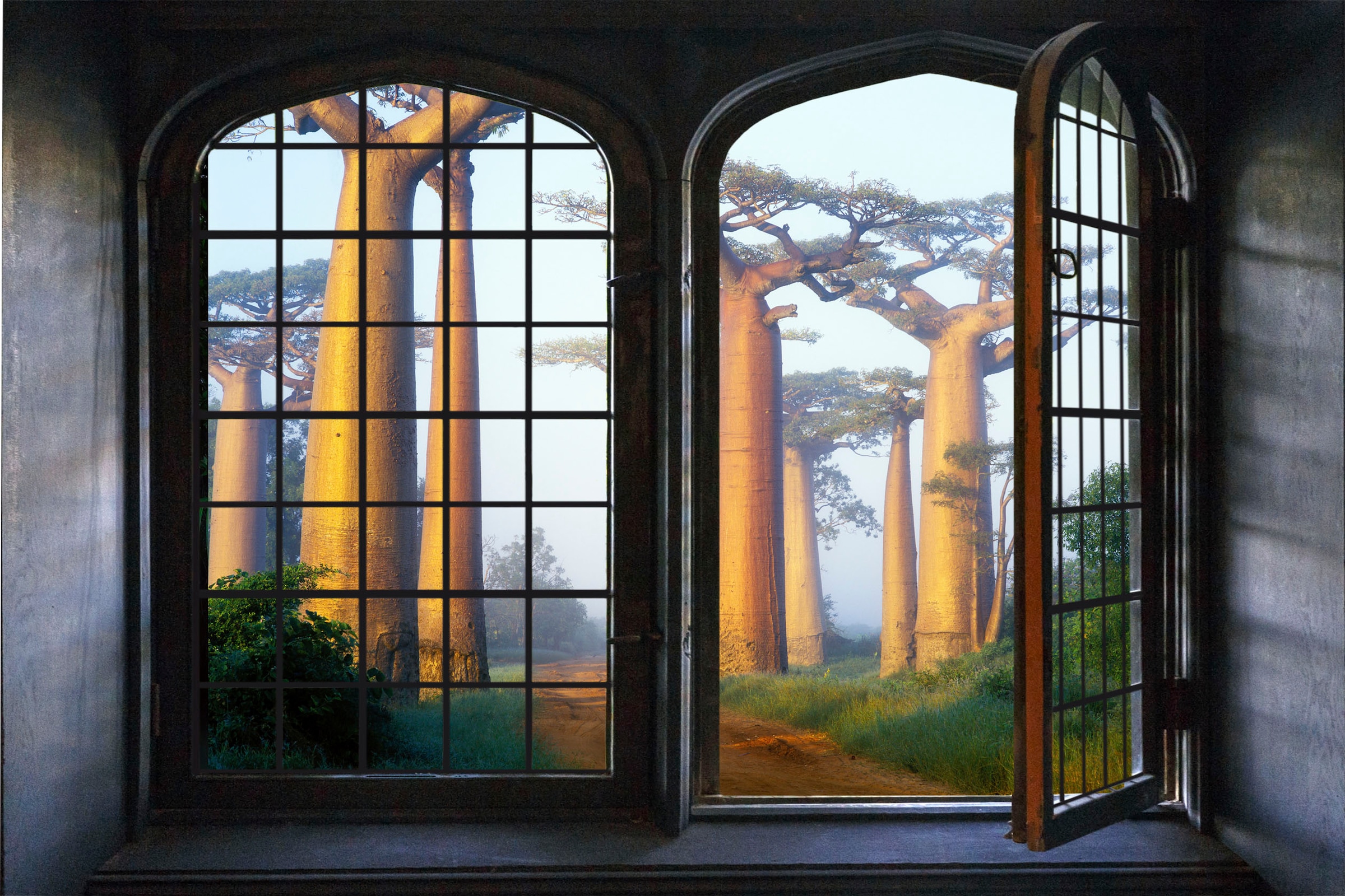 queence Wandsticker »Wald« Wandsticker, Wandbild, selbstklebend, 3D, Fenster