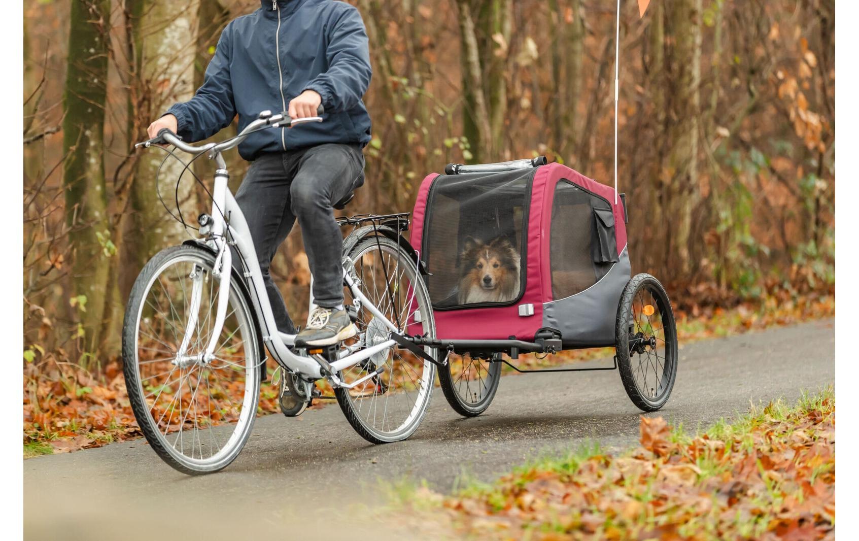 TRIXIE Fahrradhundeanhänger »63 x 68 x 75/137 cm« Fahrradanhänger in Grösse M  für Hunde bis 22 kg