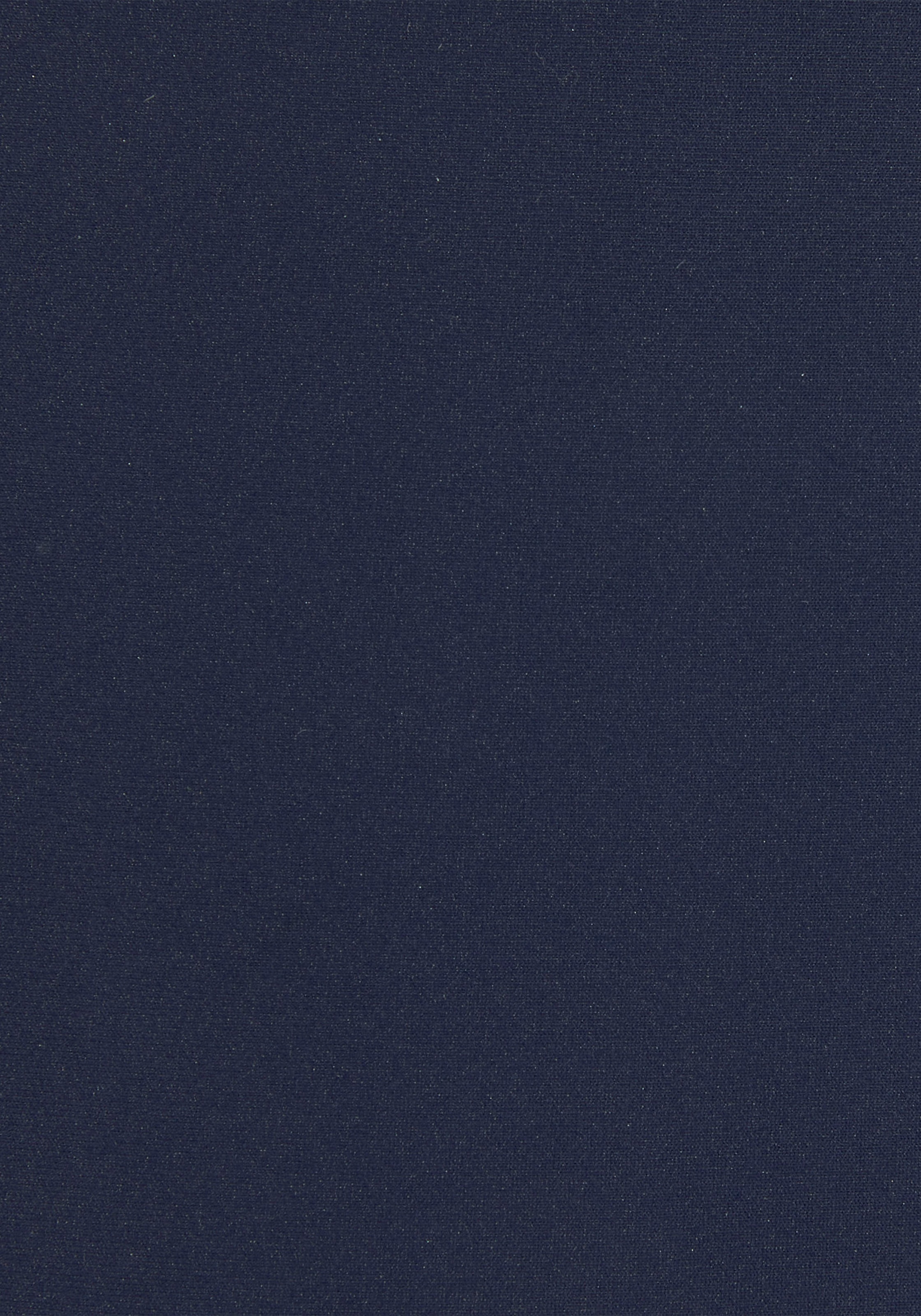 Venice Beach Bikini-Hose »Caru« in klassischer Form