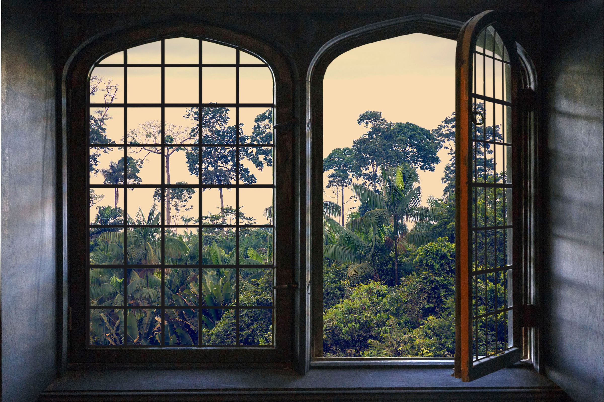 queence Wandsticker »Urwald« Wandsticker, Wandbild, selbstklebend, 3D, Fenster