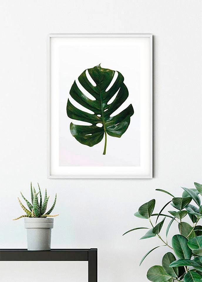 Komar Bild »Monstera Leaf« Blätter | Pflanzen 1 Stk. tlg. Wandbild zur Dekoration - ohne Rahmen