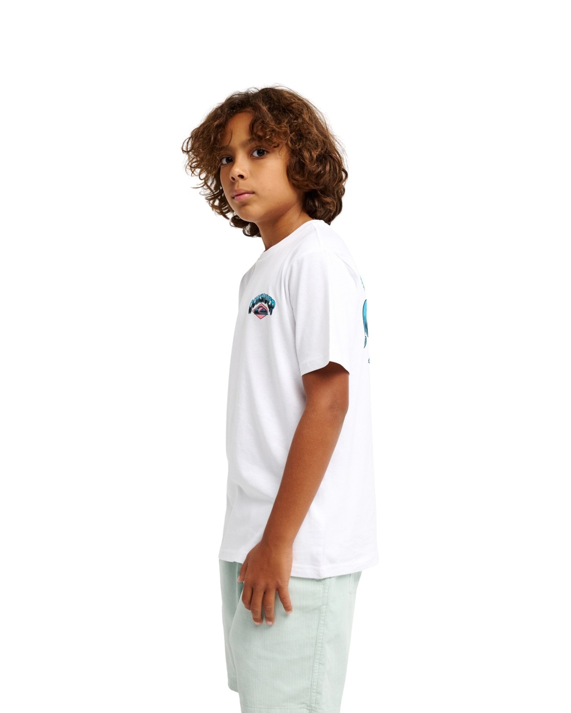 Quiksilver T-Shirt »Palm Horizon«