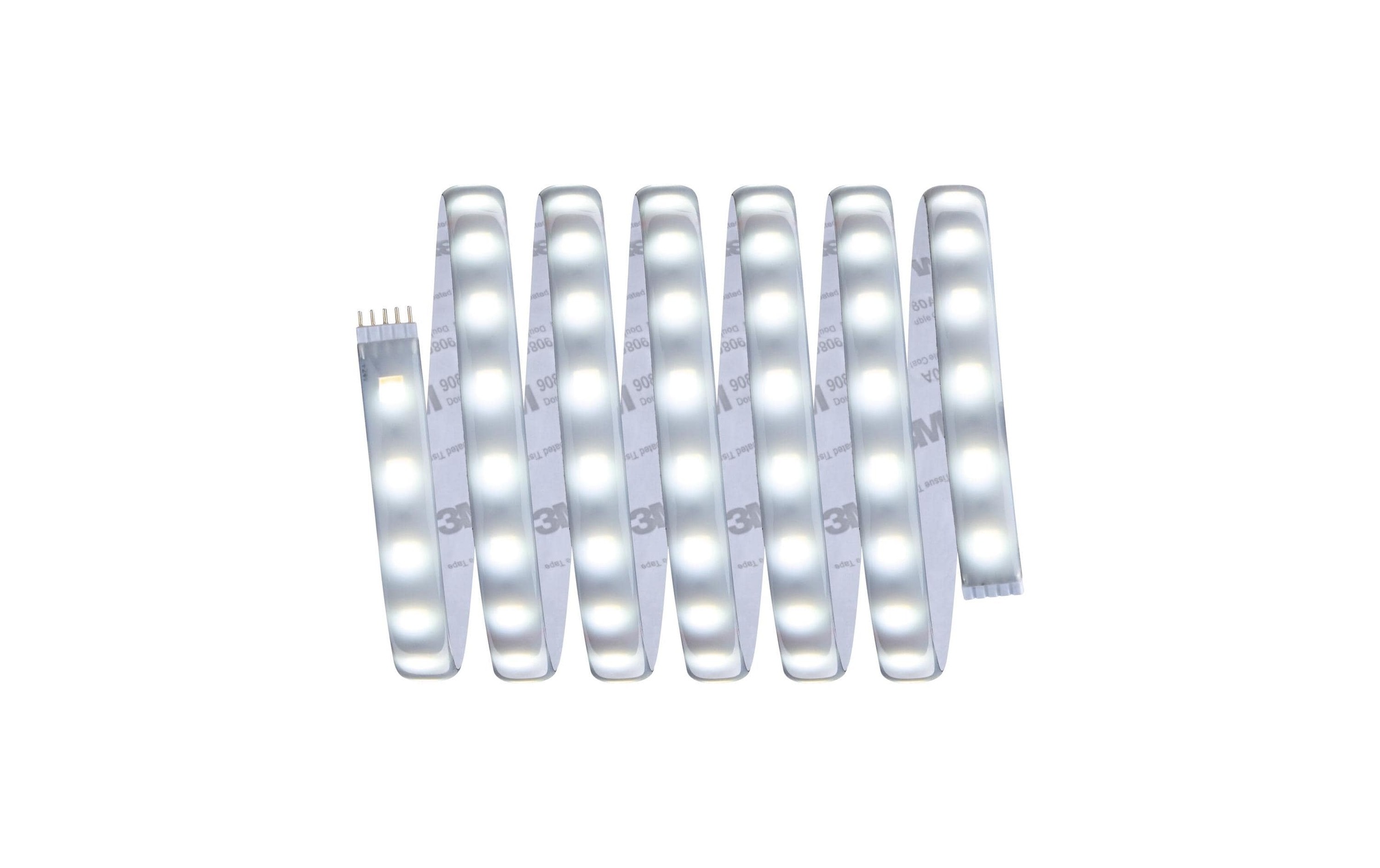 Paulmann LED Deckenleuchte »MaxLED 500 Tuna« 1 Stk.