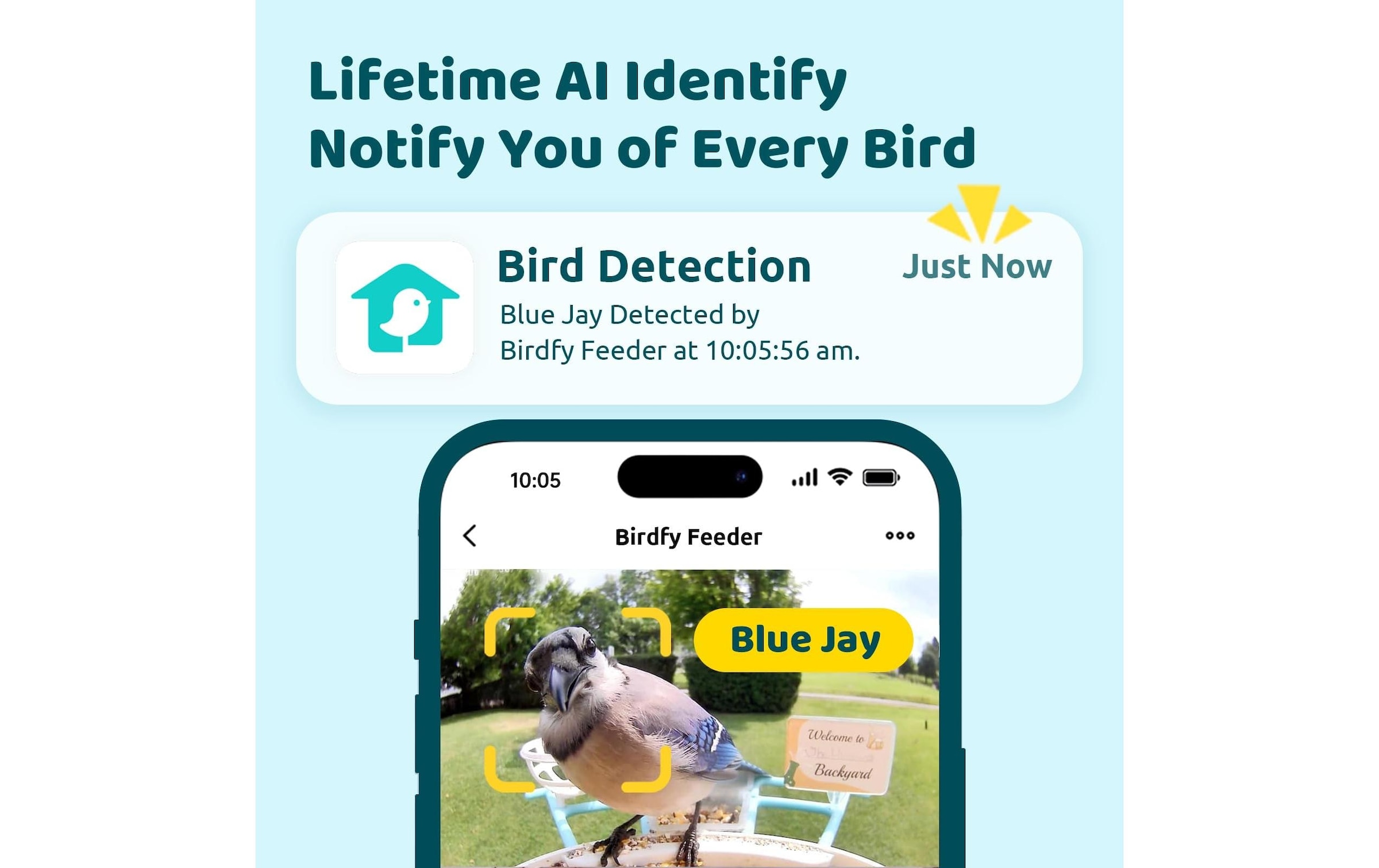 Birdfy Futterspender »Basic Solar«
