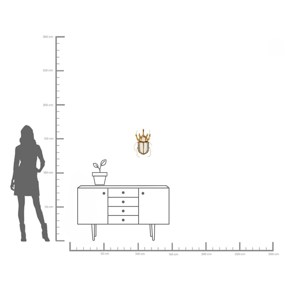 Kare Design Objet de décoration murale »Wandschmuck Beetle Mirror 25x39cm«