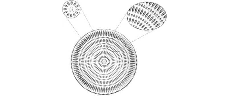 Nachtmann Assiette plate »Ethno 2 Stück«