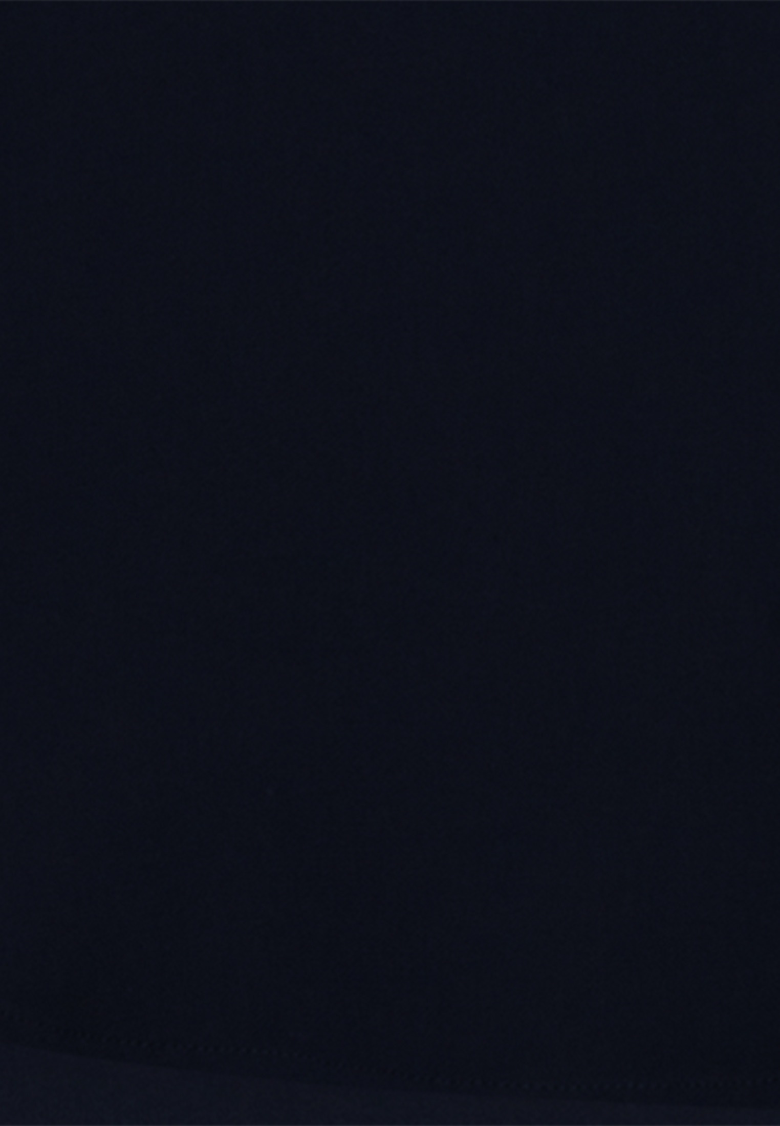 seidensticker Longbluse »Schwarze Rose« Langarm Kragen Uni