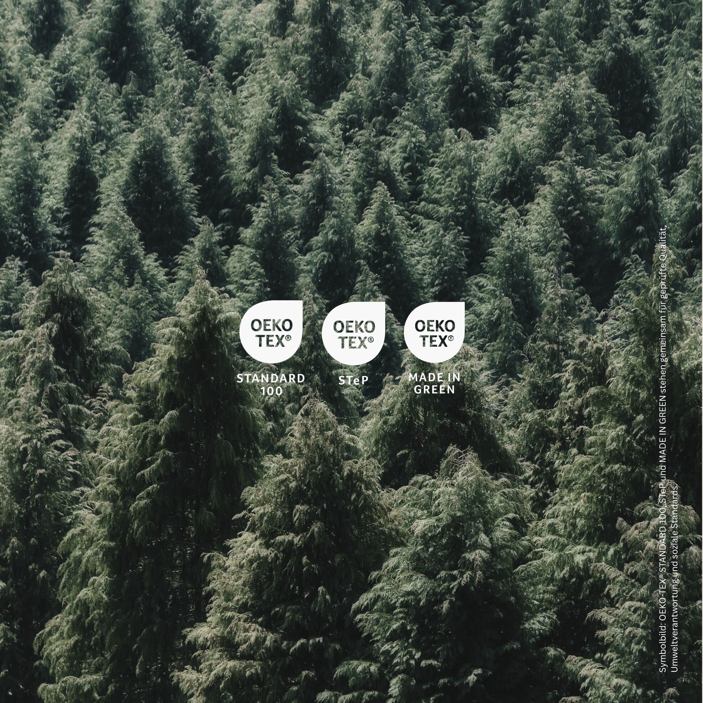 uncover by SCHIESSER Draps de lit »New Jersey aus 100% Baumwolle« Made in Green