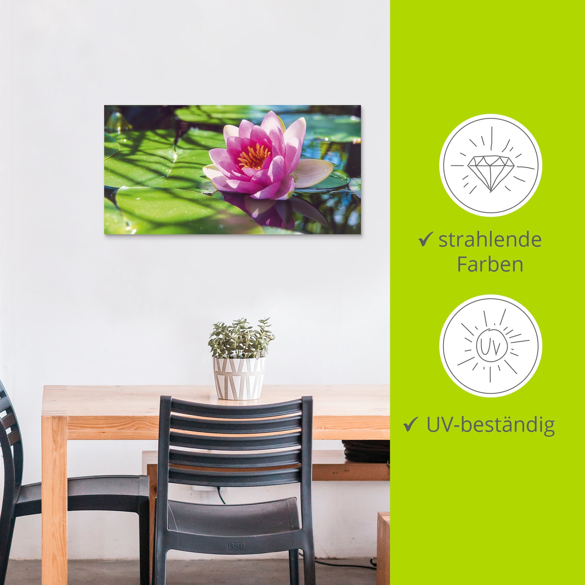 Artland Impression alu-dibond »Seerose Nahaufnahme« 1 cuis tlg. für Innen- und Aussenbereich geeignet, Outdoorbild