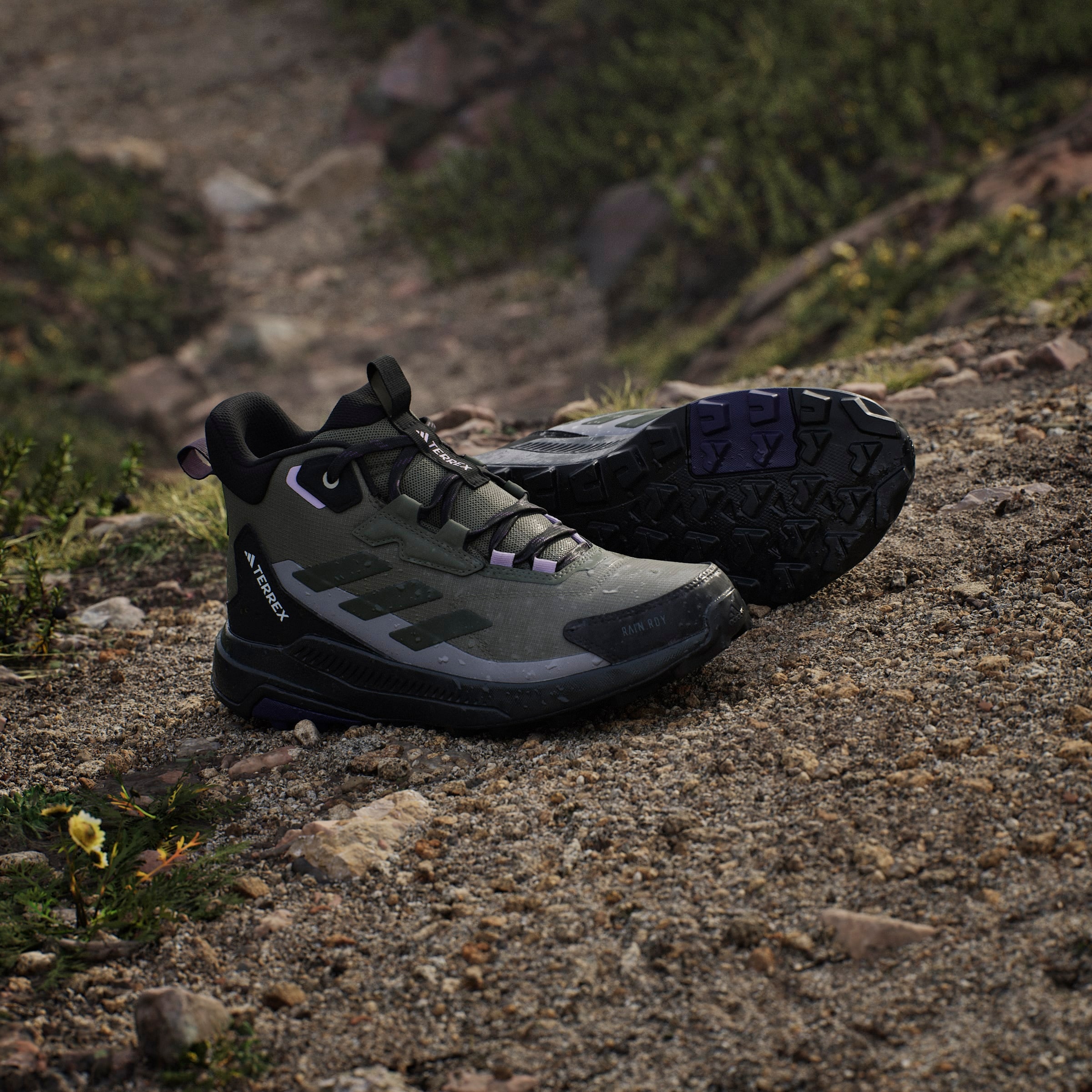 adidas TERREX Wanderschuh »TERREX ANYLANDER MID RAIN.RDY«  wasserdicht