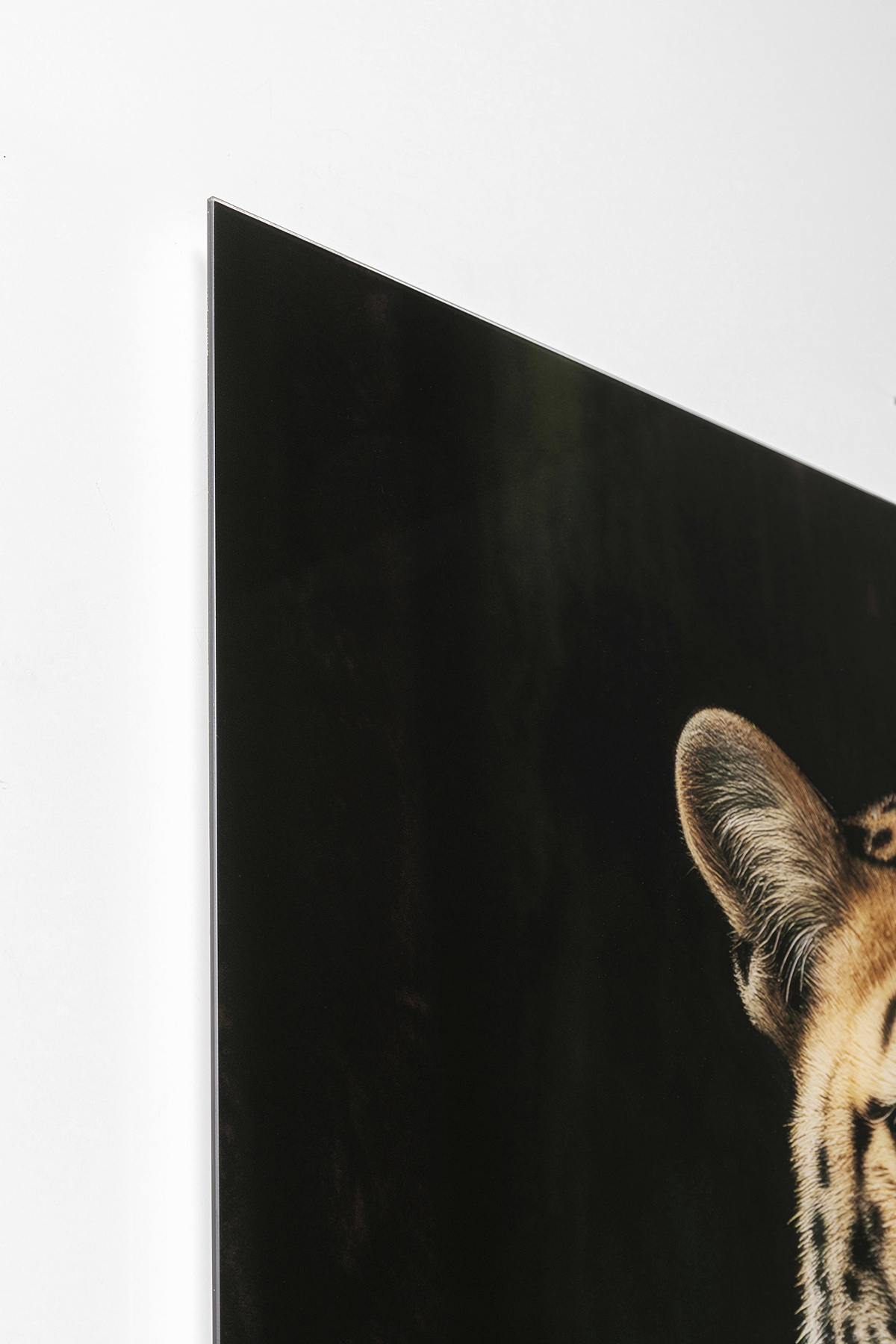 Kare Design Tableau en verre »Mister Leo 40x30cm« 1, 
