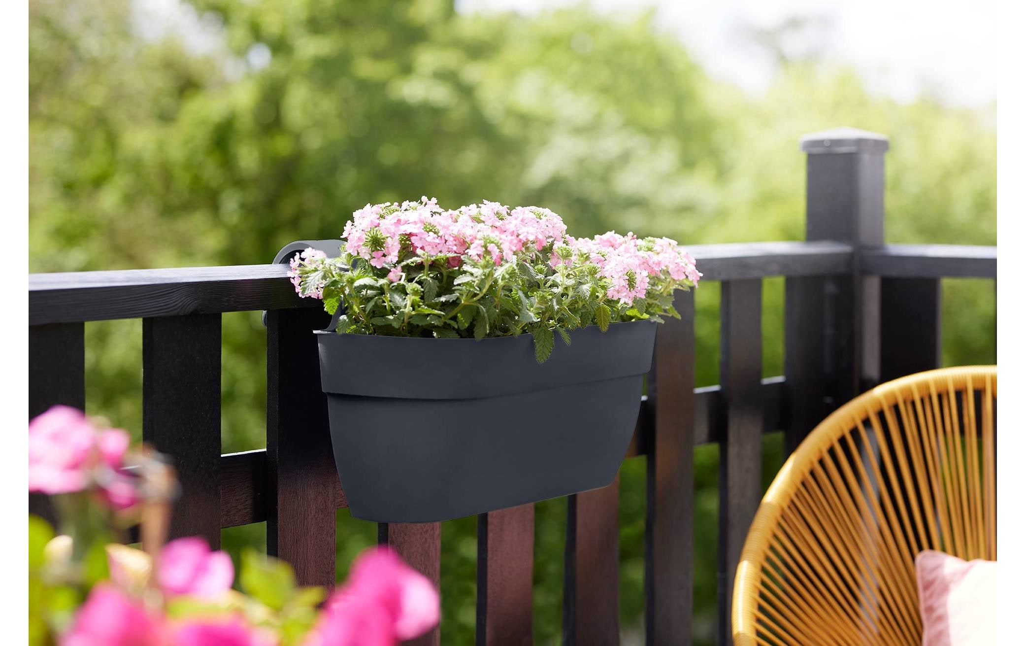 Elho Pot de fleurs »Vibia Campana Easy Aufhänger Gross«
