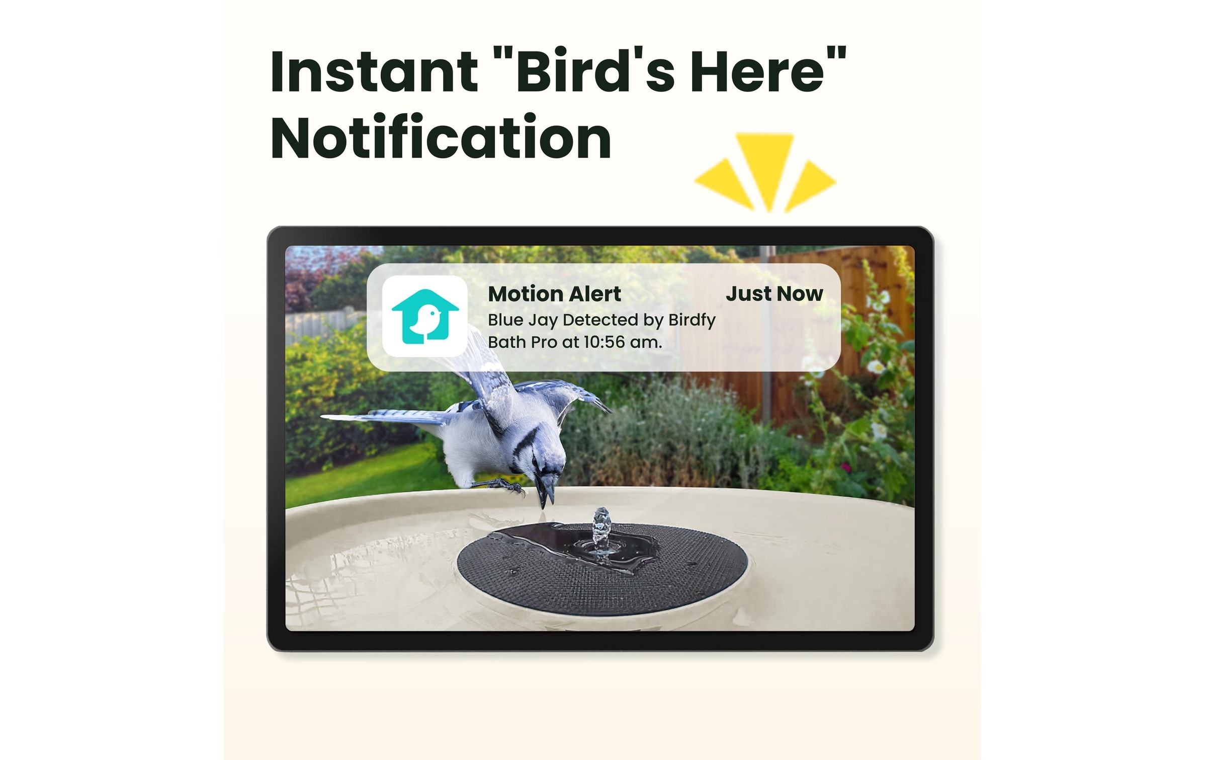 Birdfy Mangeoire pour oiseaux »Vogelbad mit Kamera« Solarbetrieben, KI und Video Vogelerkennung