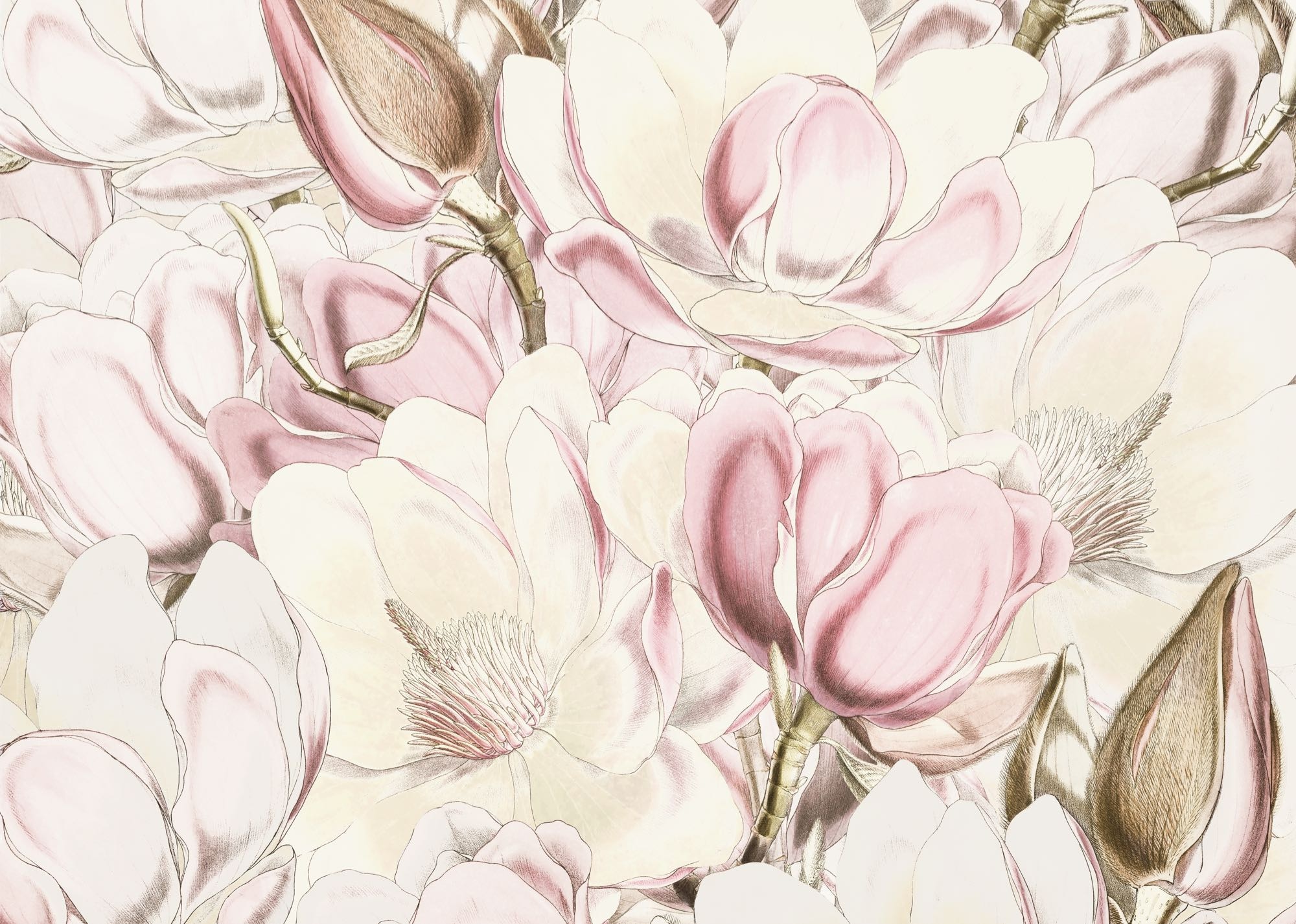 Komar Fototapete »Vlies Fototapete - Petals - Grösse 350 x 250 cm« Motiv | bedruckt glatt