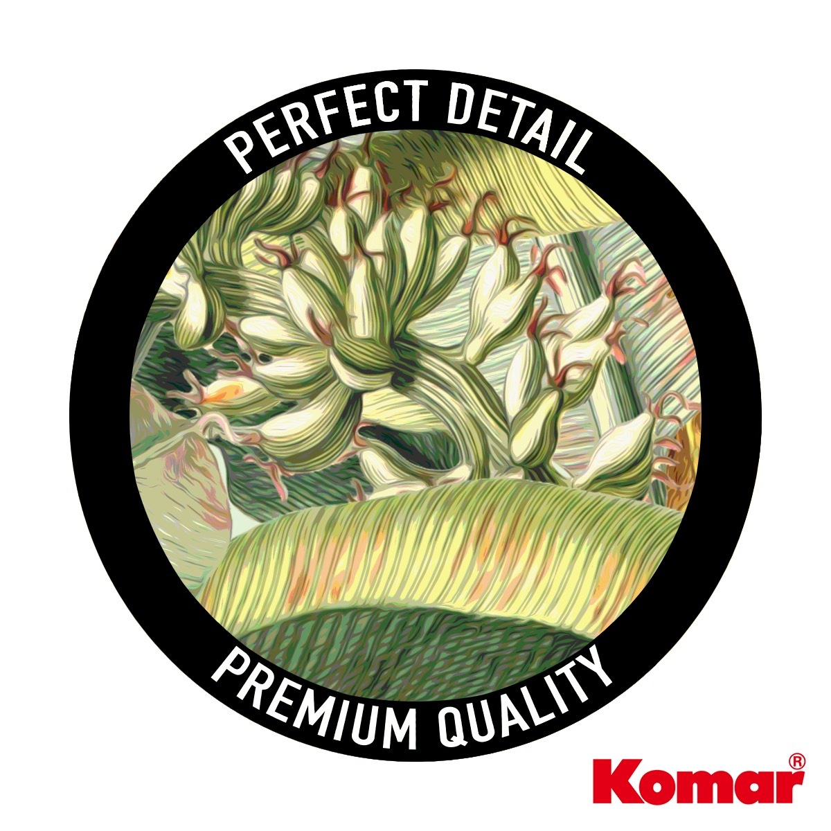 Komar Fototapete »Vlies Fototapete - Banana Grove - Grösse 200 x 250 cm« Motiv | bedruckt glatt