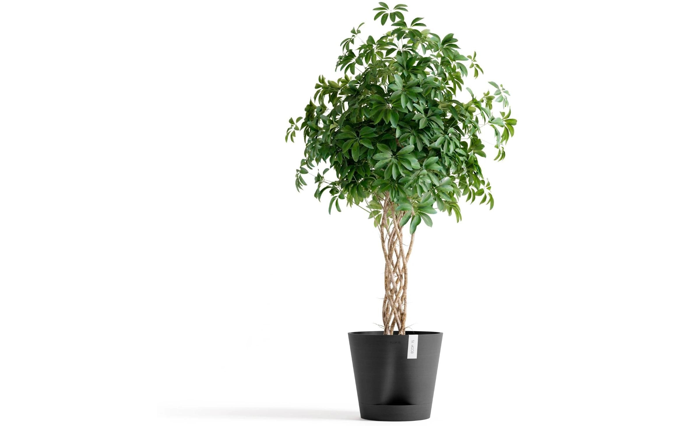 ECOPOTS Pot de fleurs »Venice 2 Ø 40 cm«