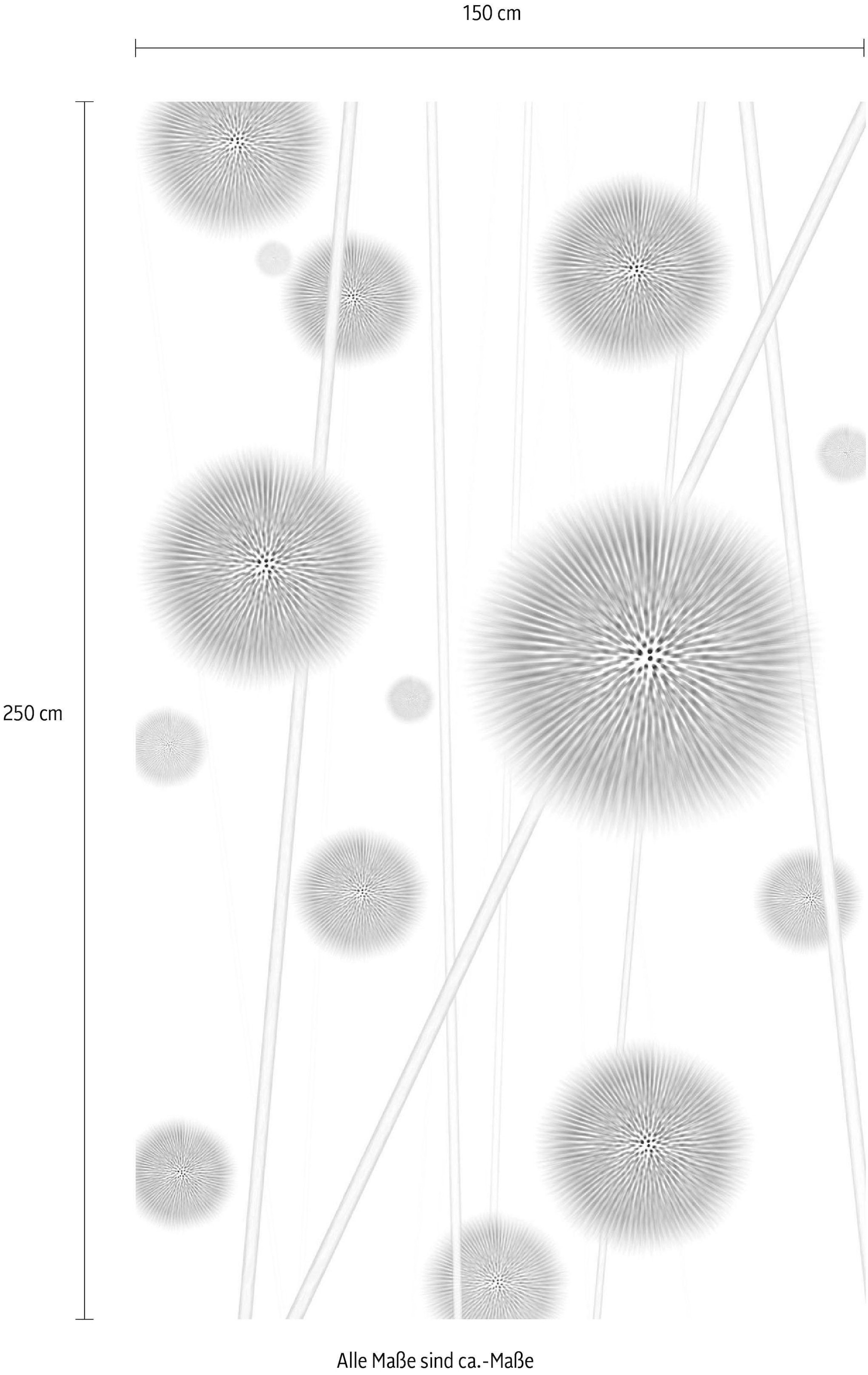 Komar Papier peint intissé »Digitaldruck Vlies -  Allium - Grösse 150 x 250 cm« imprimé Wohnzimmer, Schlafzimmer