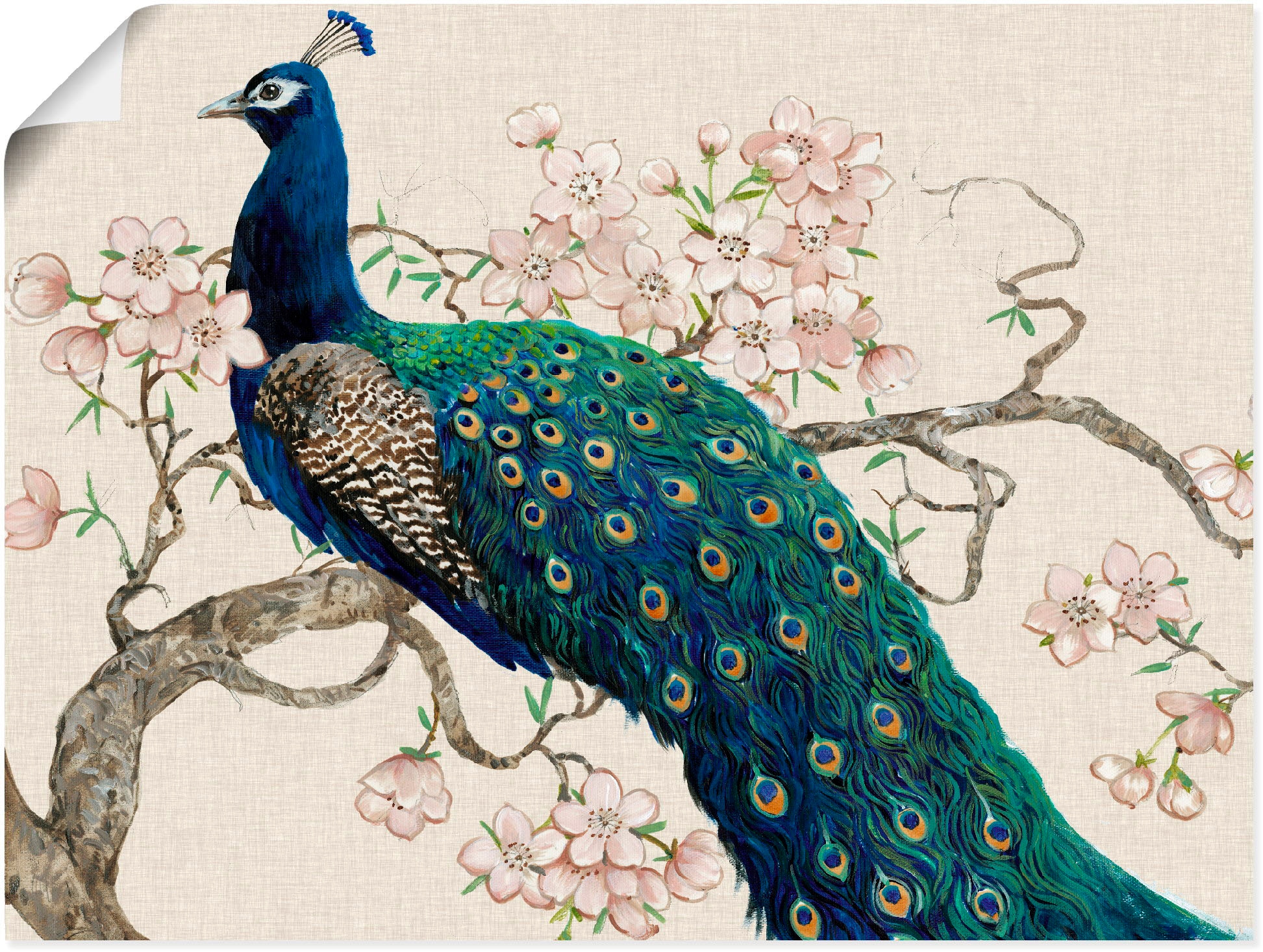 Artland Wandbild »Pfau & Blüten II« Vögel 1 Stk. tlg. als Leinwandbild, Poster in verschied. Grössen