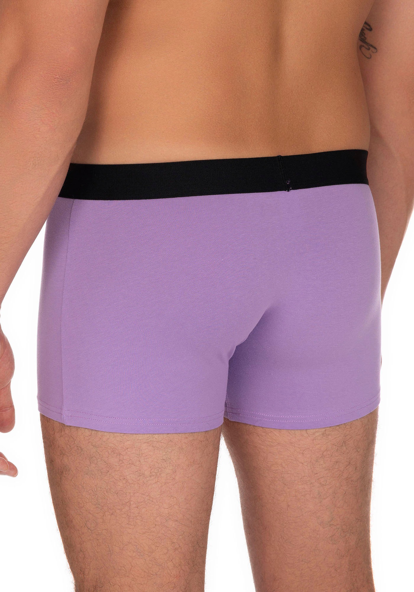 Bruno Banani Boxer »Flowing« mit kontrastreichem Logobund