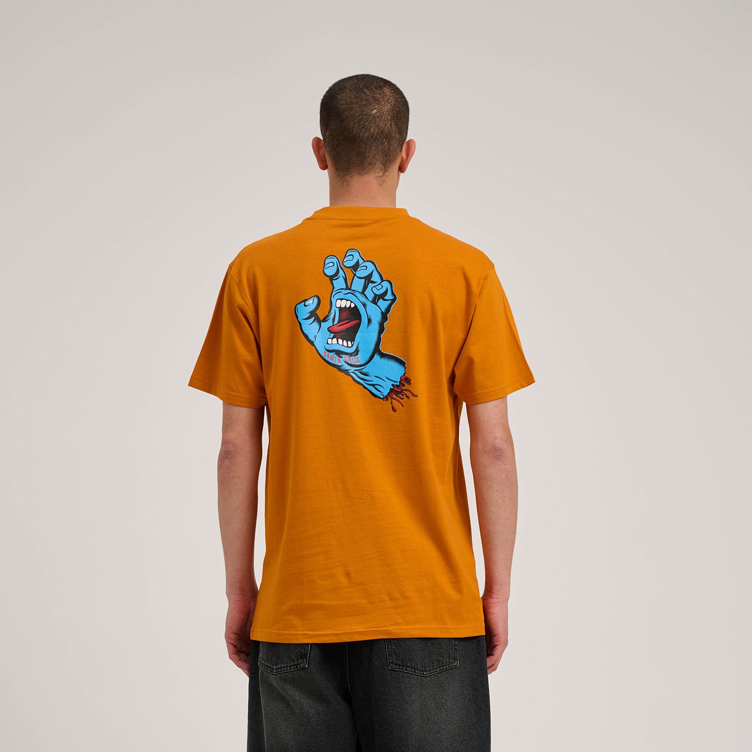 Santa Cruz T-Shirt »WOODLAND MINI STRIP FRONT T-SHIRT«