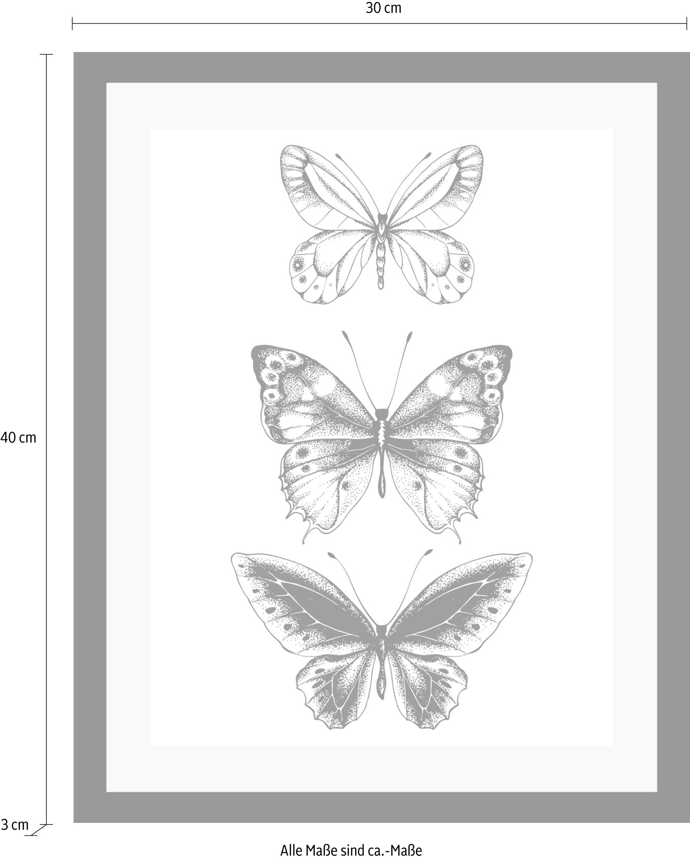 queence Bild »Schmetterlinge« Insekten | Kunst | Schmetterlinge | Schwarz-Weiss | Tiere HD Premium Poster-Druck inkl. Holzrahmen