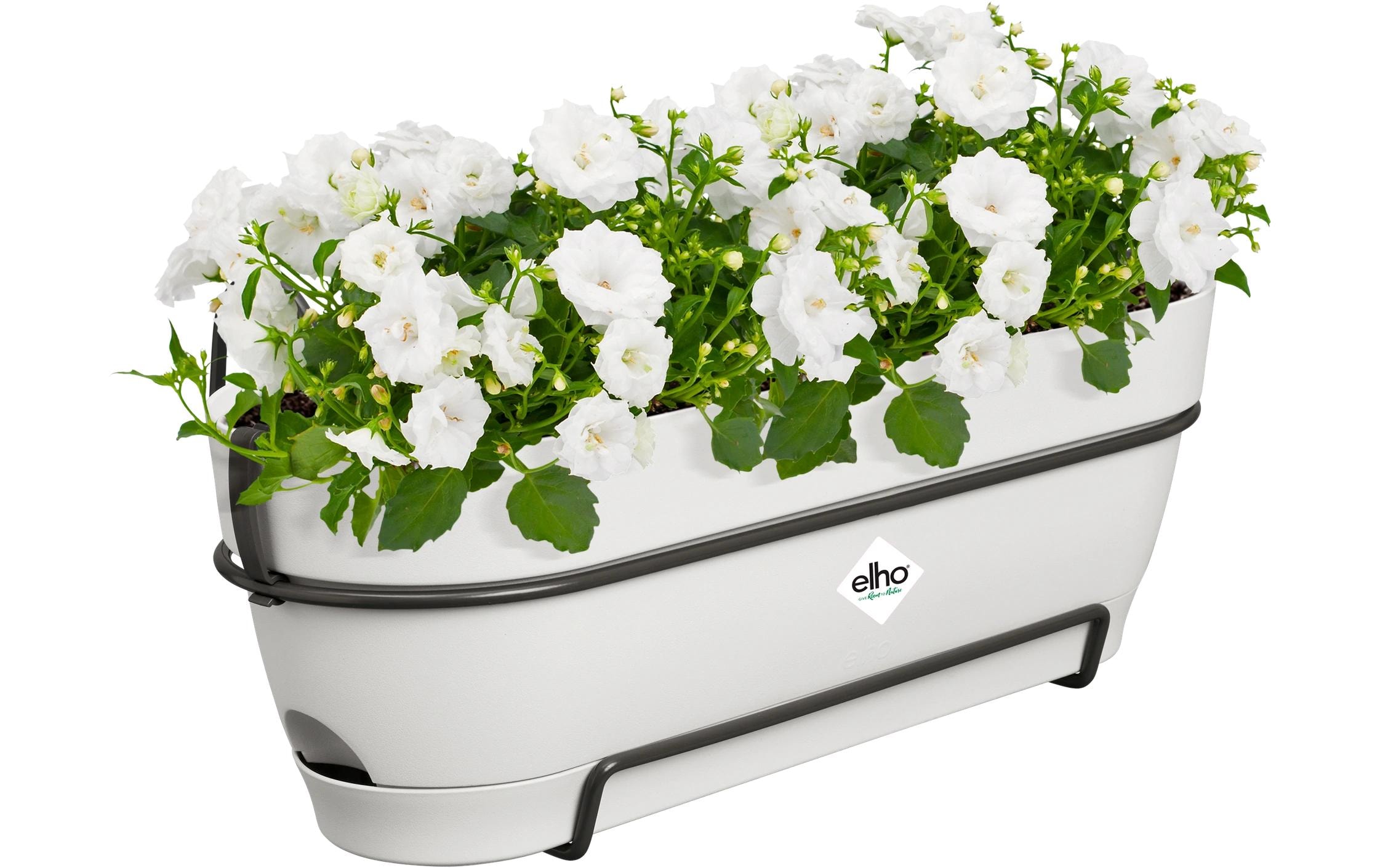 Elho Pot de fleurs »Vibia Campana Balkonkasten Allin1 50 cm«