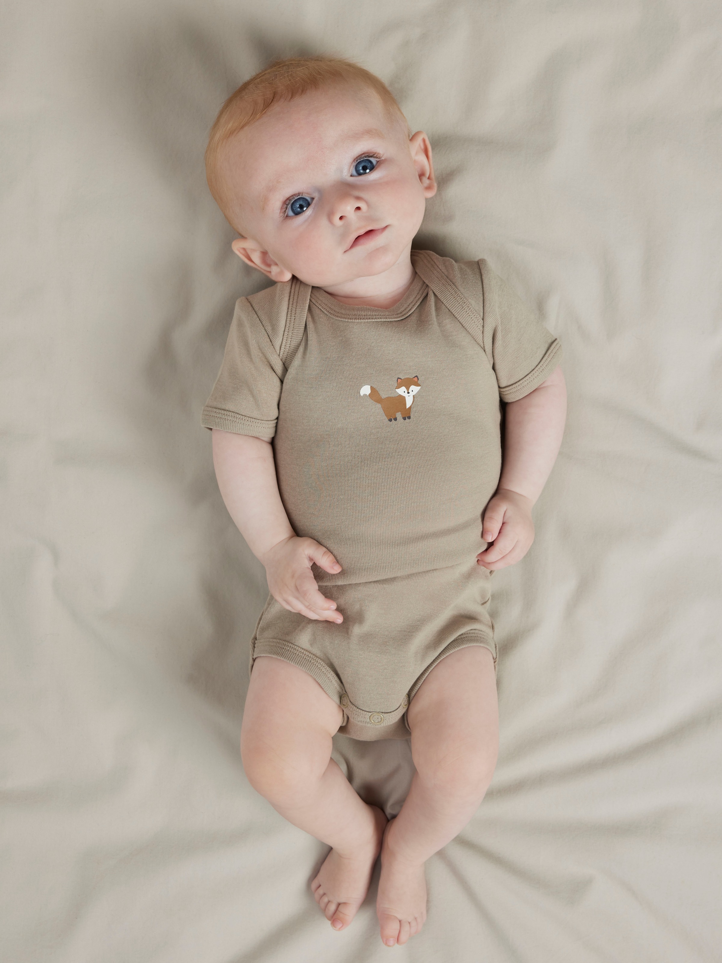 Name It Body à manches courtes »NBMBODY 3P SS FOX NOOS« Packung, 3 pièces