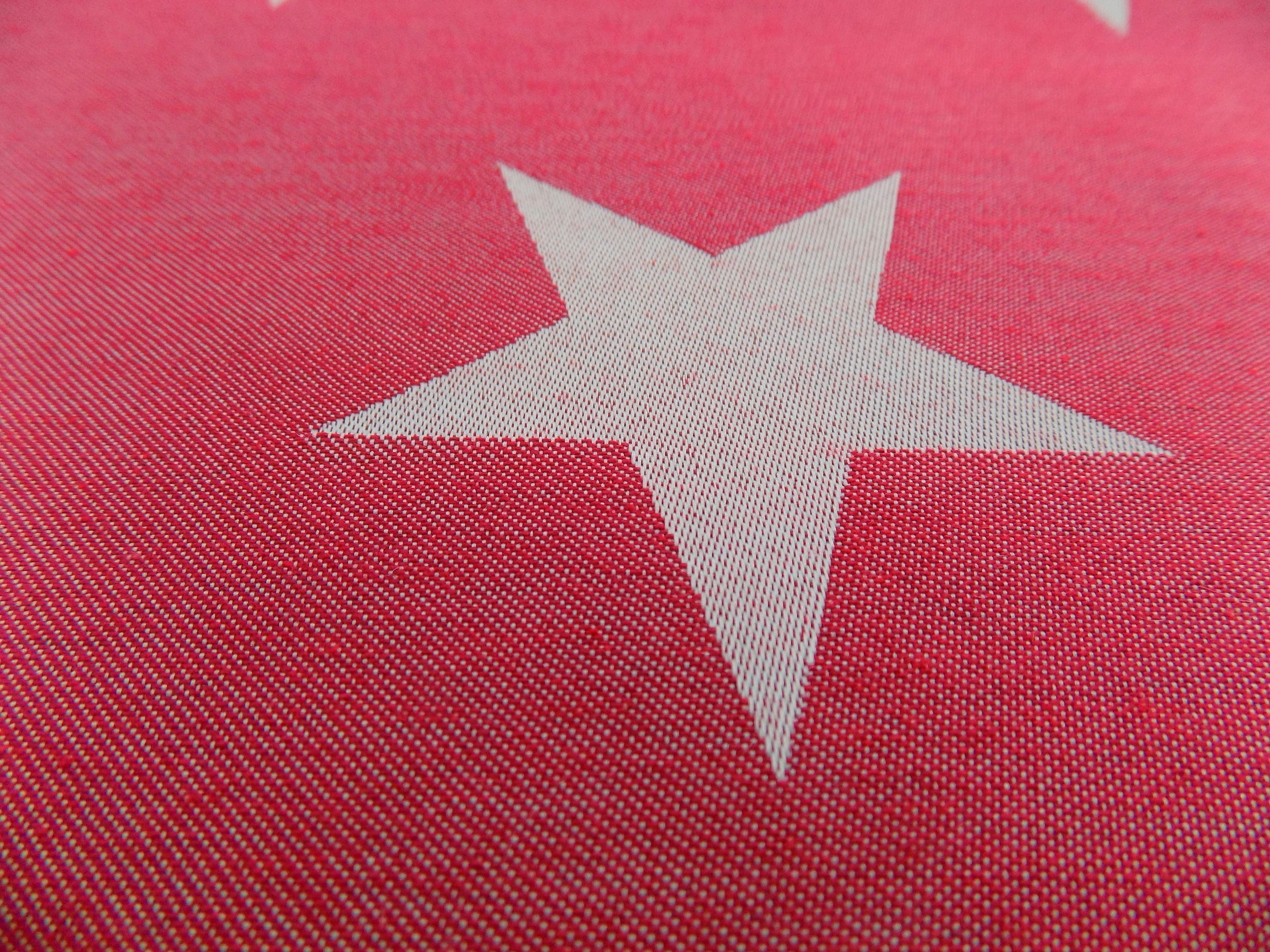 Wirth Platzset »Felino«