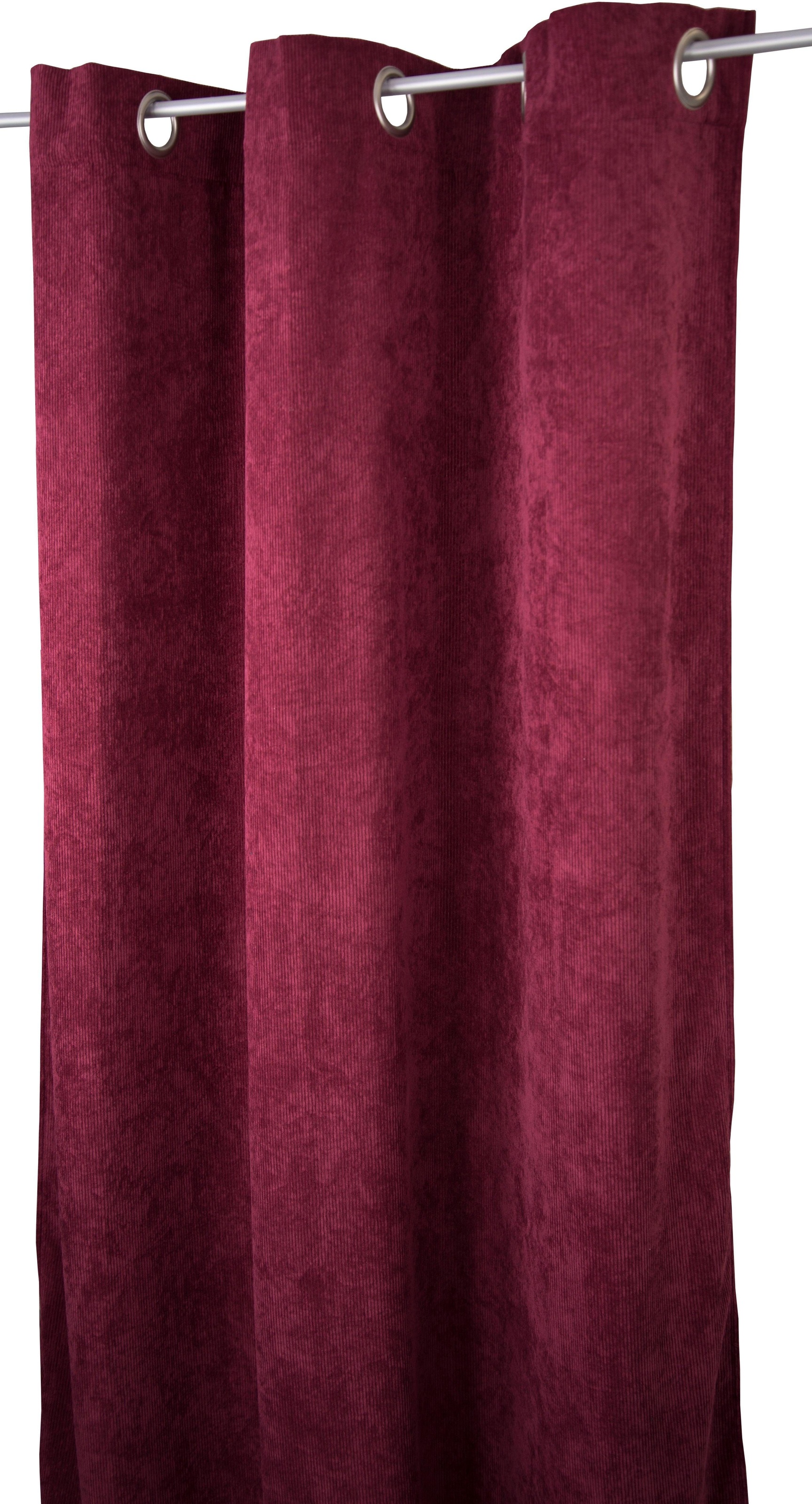 TOM TAILOR HOME Rideau »CASUAL CORD« Œillet 1 cuis tlg. Hxl: 245x140