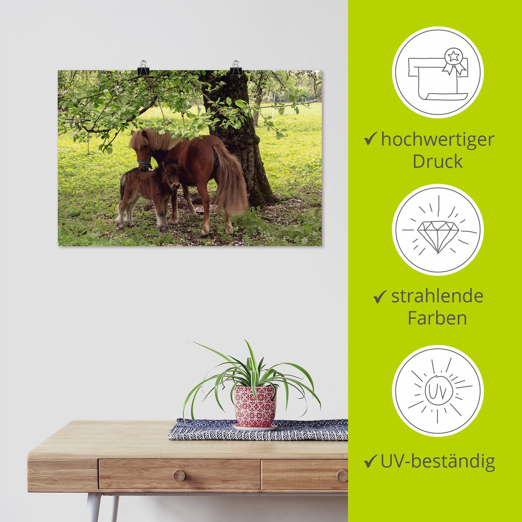 Artland Wandbild »Pony - Mutterglück« Haustiere 1 Stk. tlg. als Alubild, Outdoorbild, Leinwandbild, Poster, Wandaufkleber