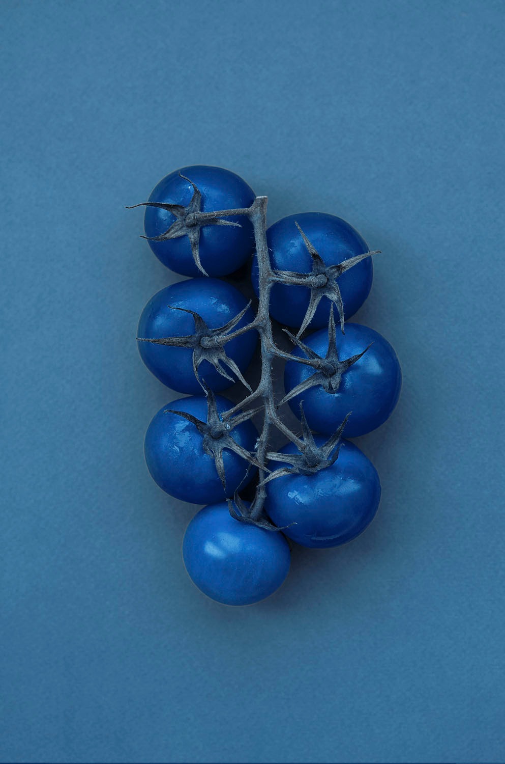 queence Acrylglasbild »Elfi« Essen | Foto | Lebensmittel | Strand 1 Stk. tlg. Fine Art-Print in Galeriequalität