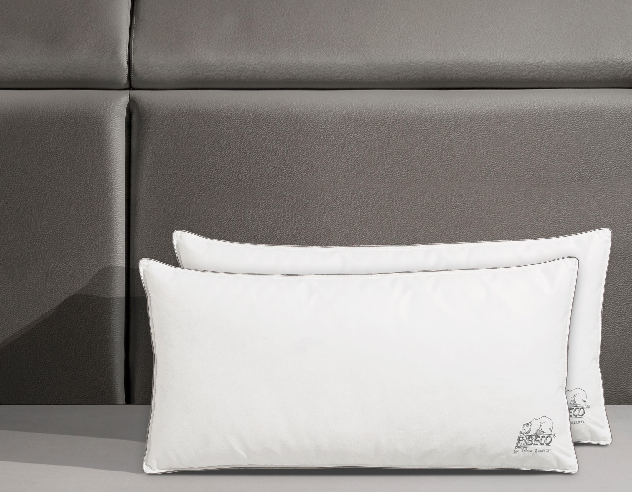 RIBECO Oreiller en plumes »Eve« Füllung: 90 % plumes, 10 % duvet 2 cuis tlg. oreiller 80x80 cm et autres tailles