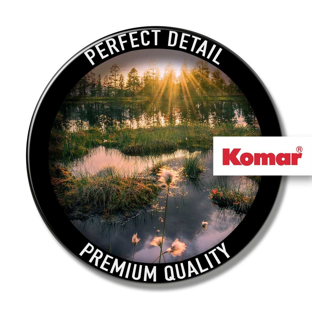 Komar Leinwandbild »Gloomy Swamps - Grösse 60 x 40 cm« Baum | Berge | Blumen | Blätter | Foto | Jahreszeiten | Landschaft | Meer | Natur | Palmen | Strand Packung, 1 Stk. tlg. Keilrahmenbild mi Echtholzrahmen