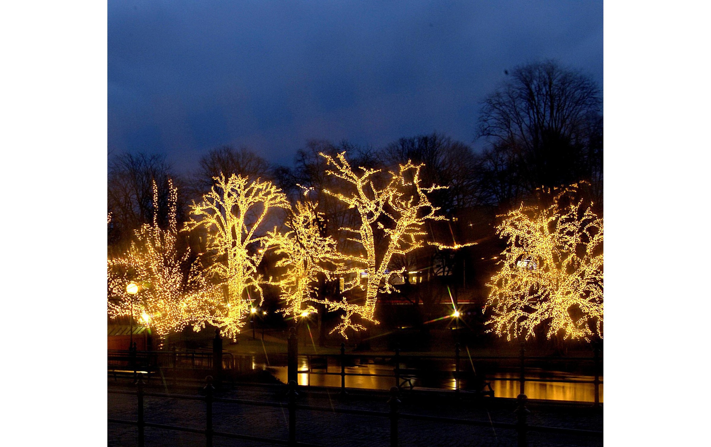 Parforce Traditional Hunting LED-Lichtervorhang »Erweiterungssystem LED 100 LED, 2 x 1 m«