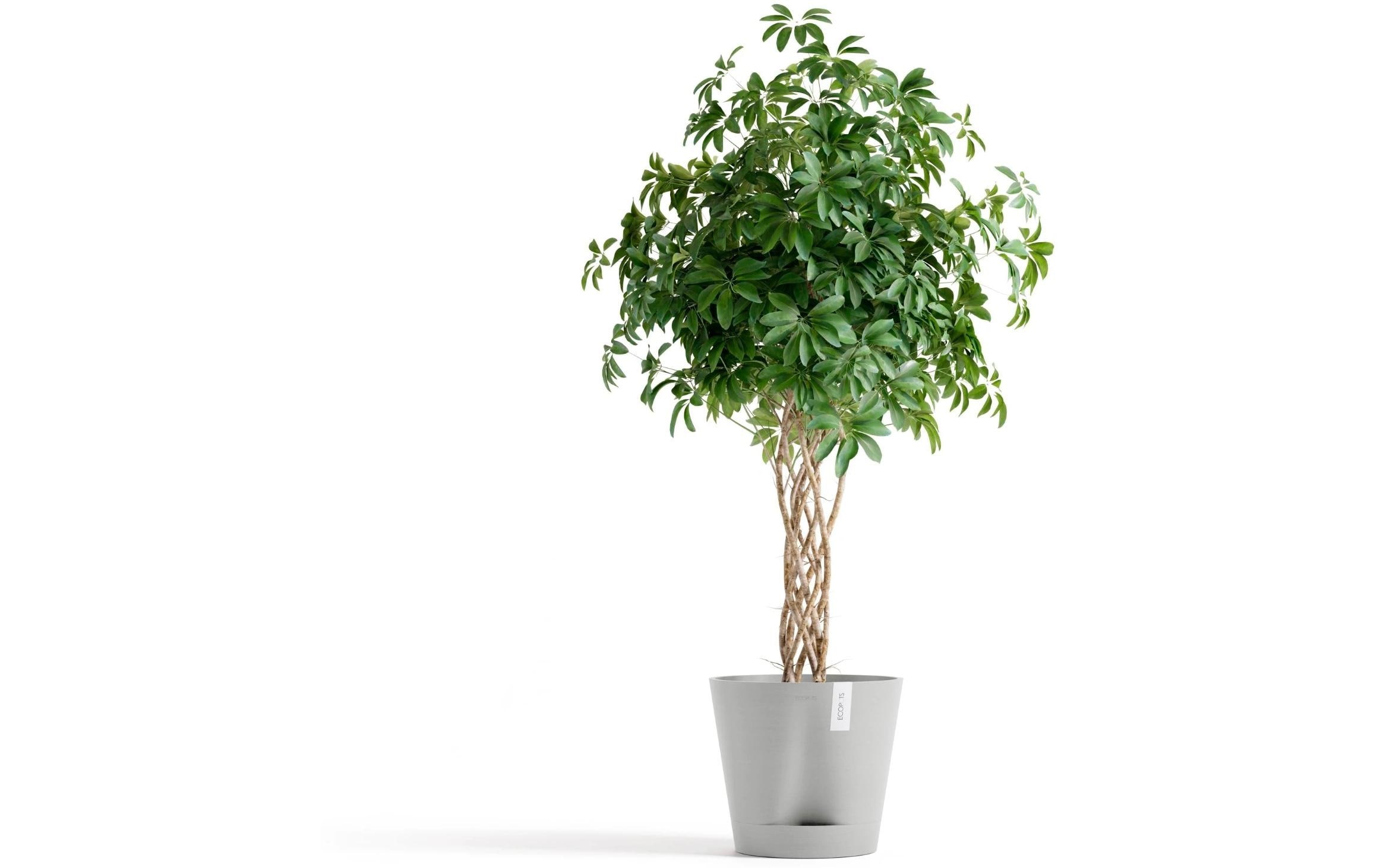ECOPOTS Pot de fleurs »Venice 2 Ø 40 cm«
