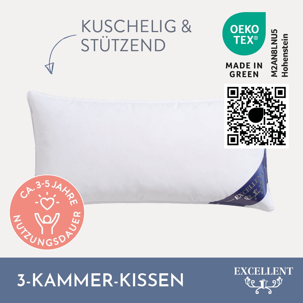 Excellent Oreiller à 3 compartiments »Davos Dreikammerkissen in den Grössen 40x80 und 80x80 cm erhältlich.« Füllung: 60 % duvet d'oie, 40 % plumes d'oie (compartiment extérieur) 1 cuis tlg. fabriqué en Allemagne, adapté aux allergiques