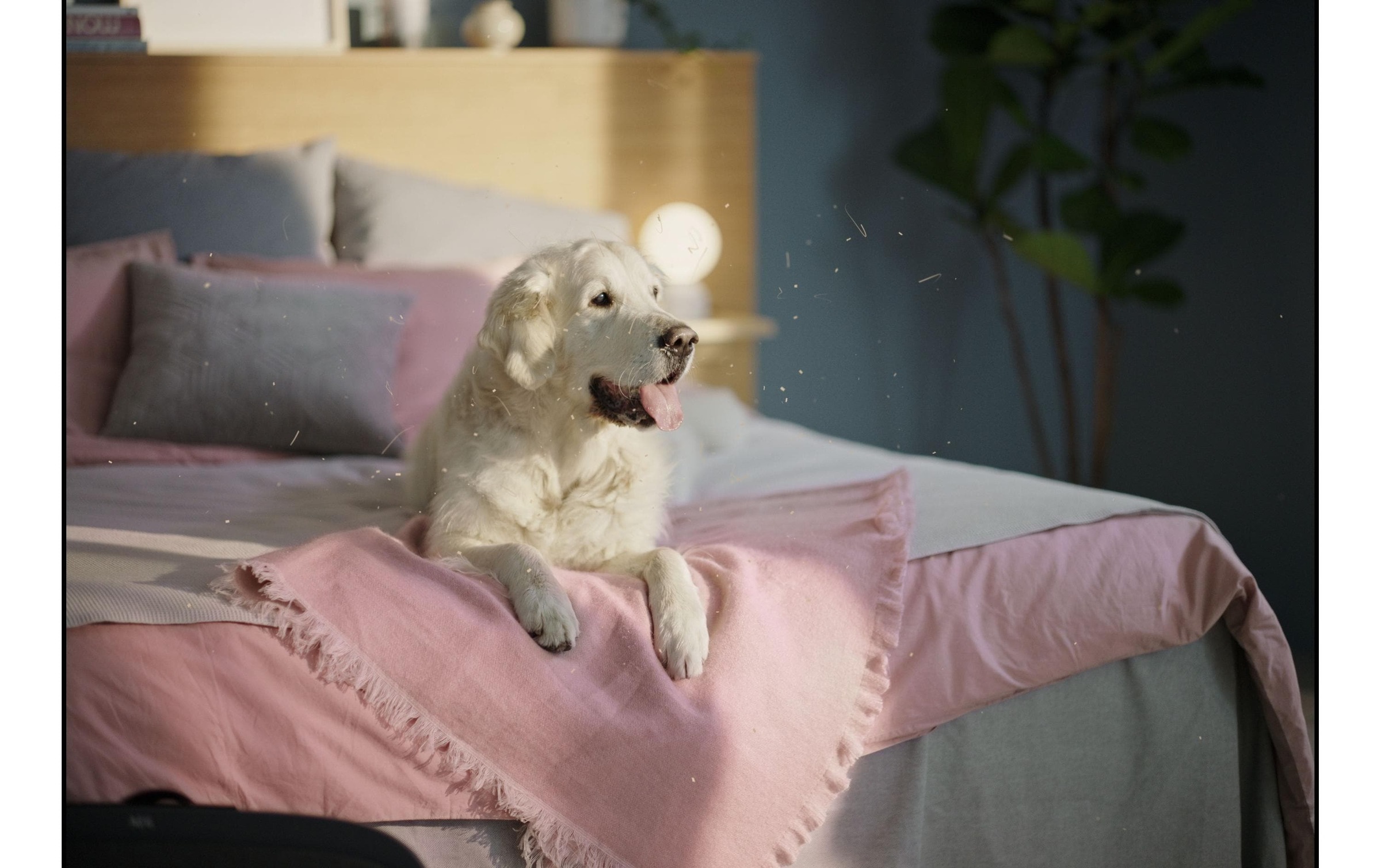 Electrolux Luftfilter »Clean zu Luftreiniger Well A5 oder Well A7«